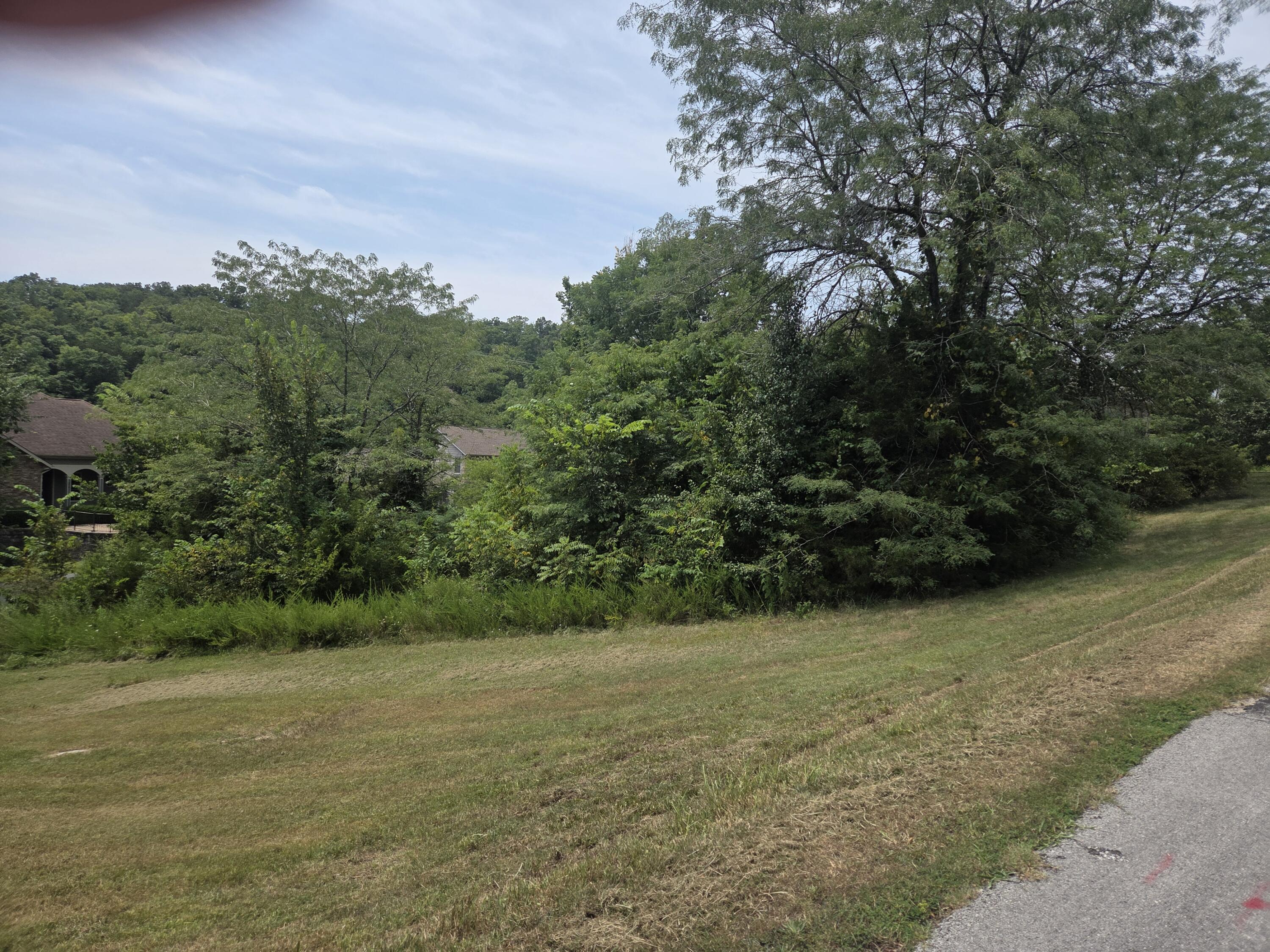 Lot 30 Roark Branch Road Property Photo 3