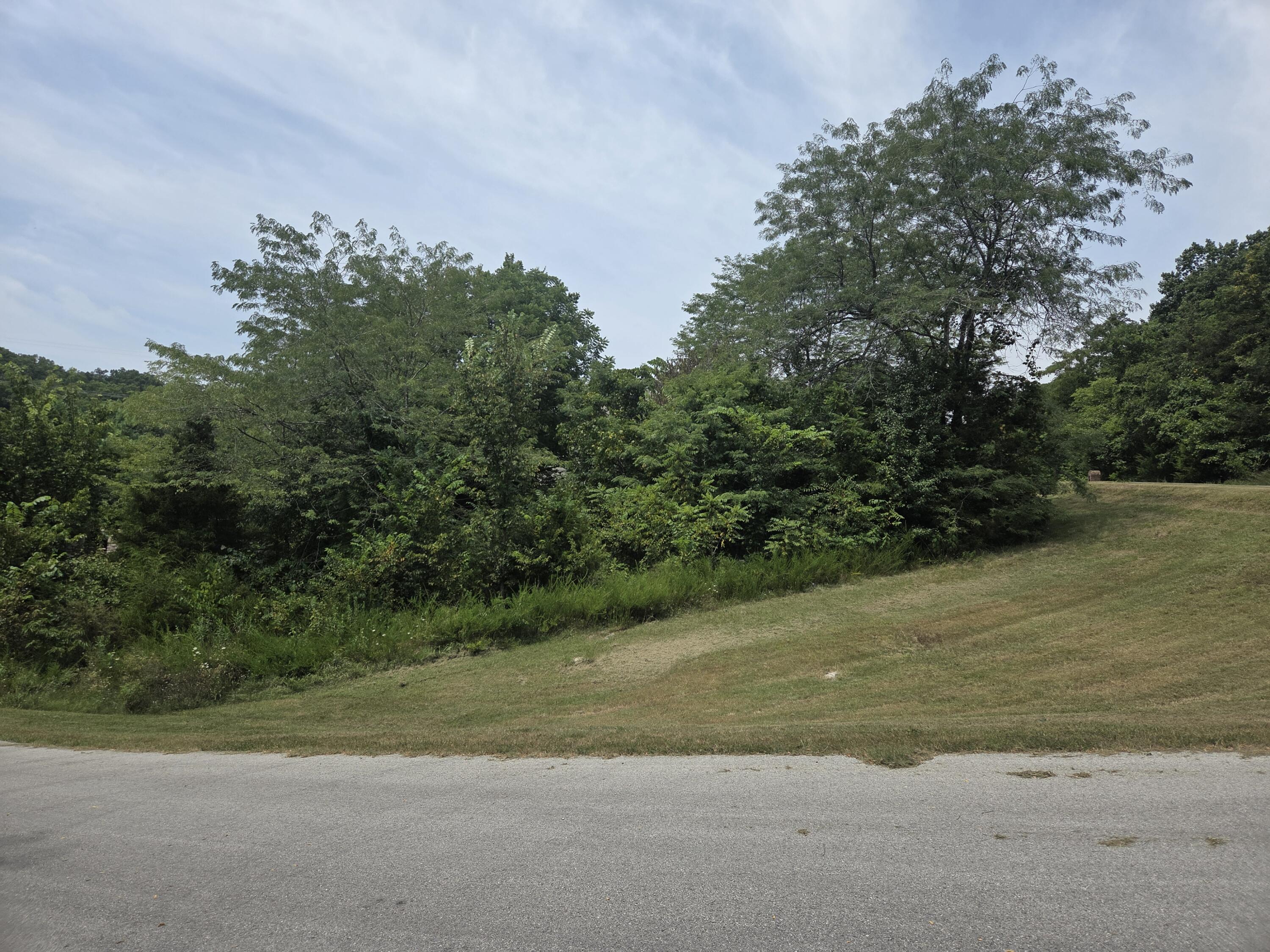 Lot 30 Roark Branch Road Property Photo 4