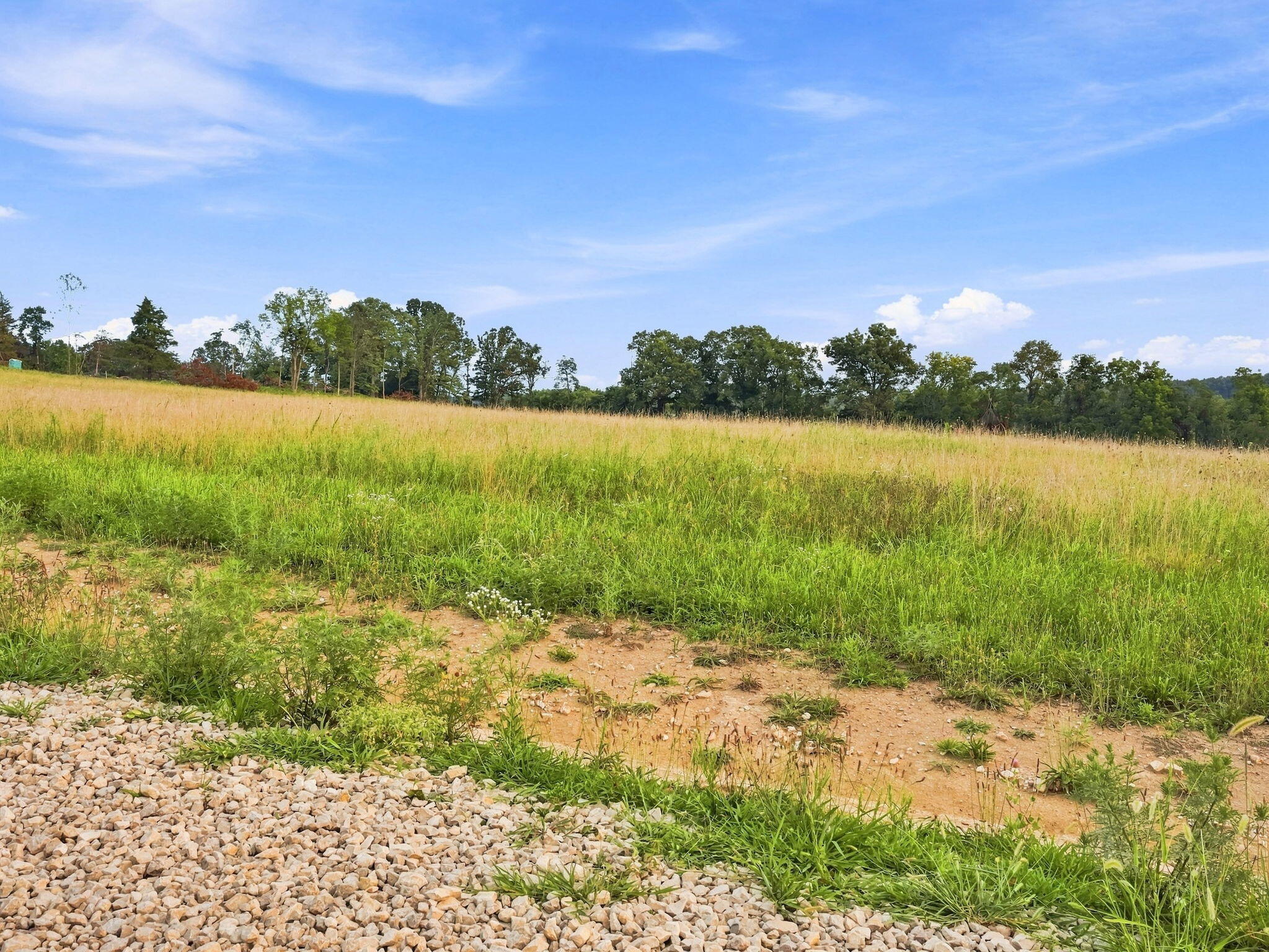 60329683 Property Photo 6