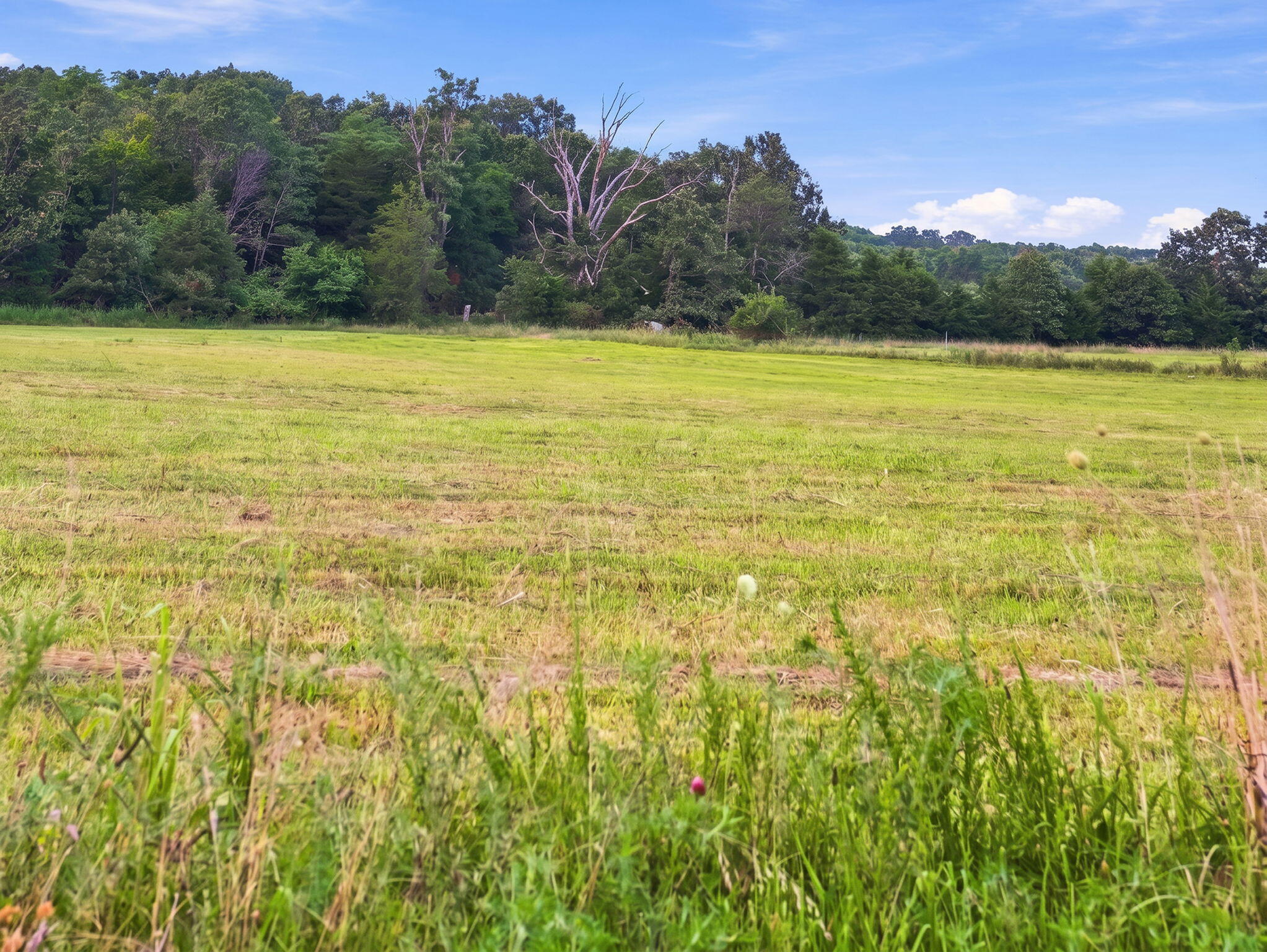 60329683 Property Photo 8