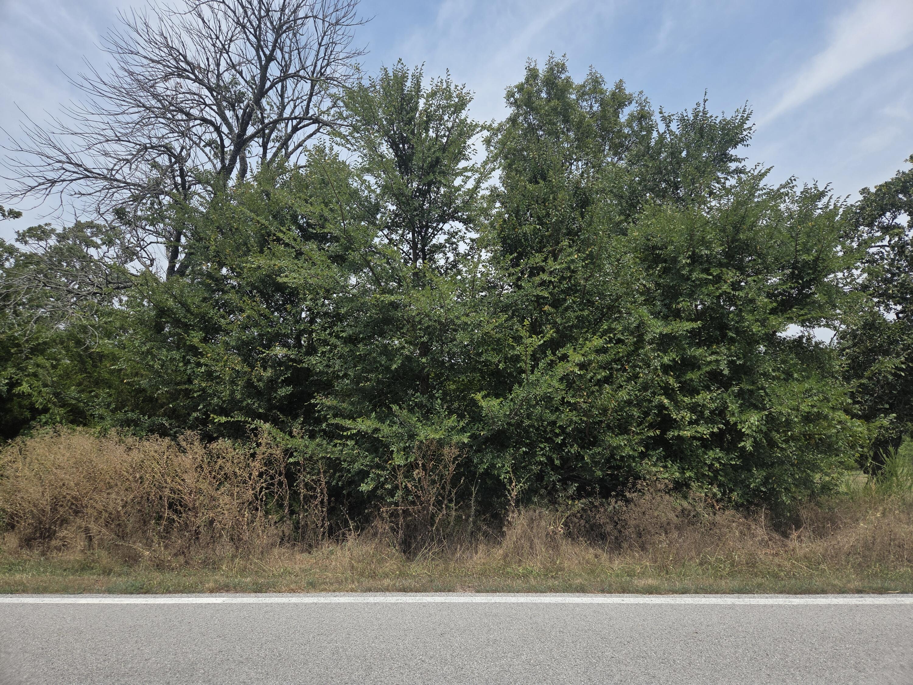 Lot 175 Black Forest Lane Property Photo 1