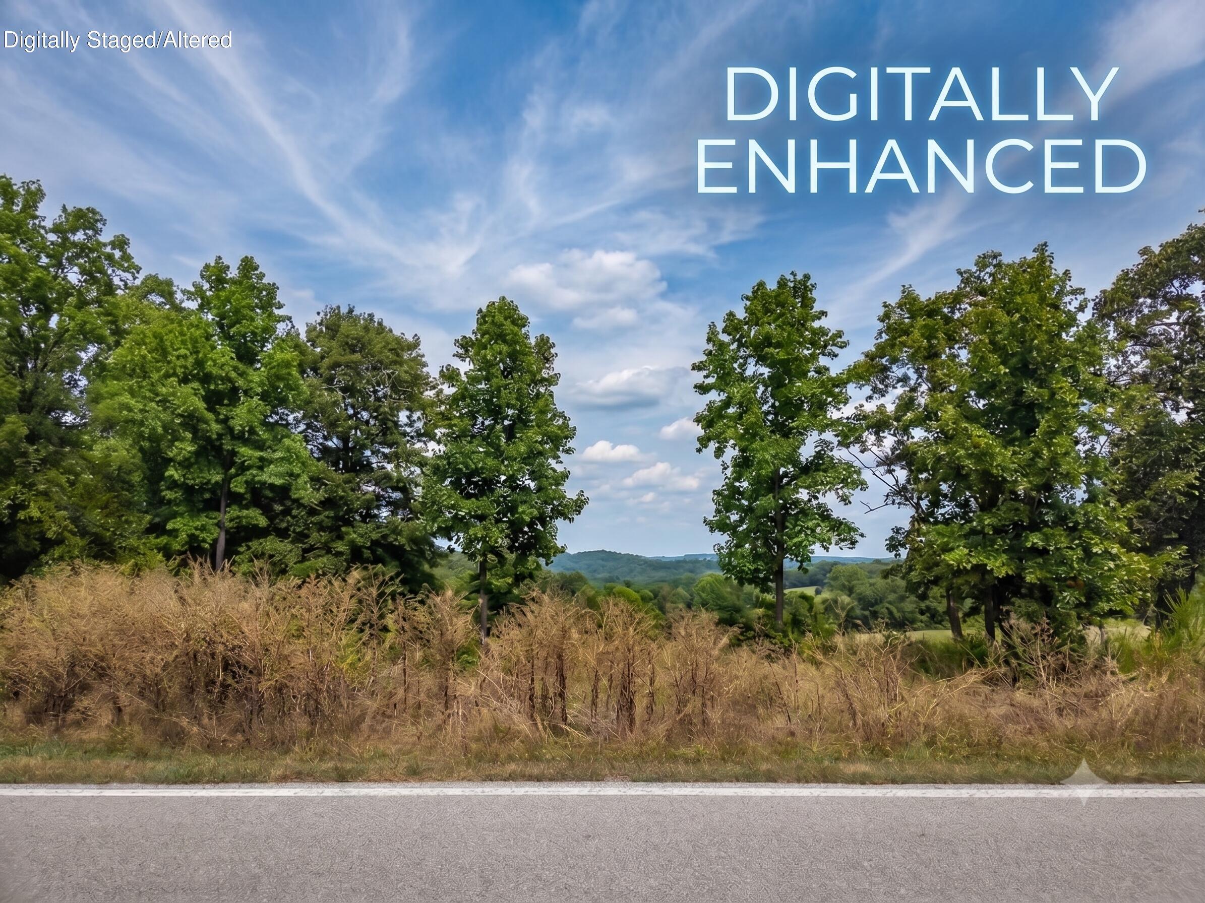 Lot 175 Black Forest Lane Property Photo 2