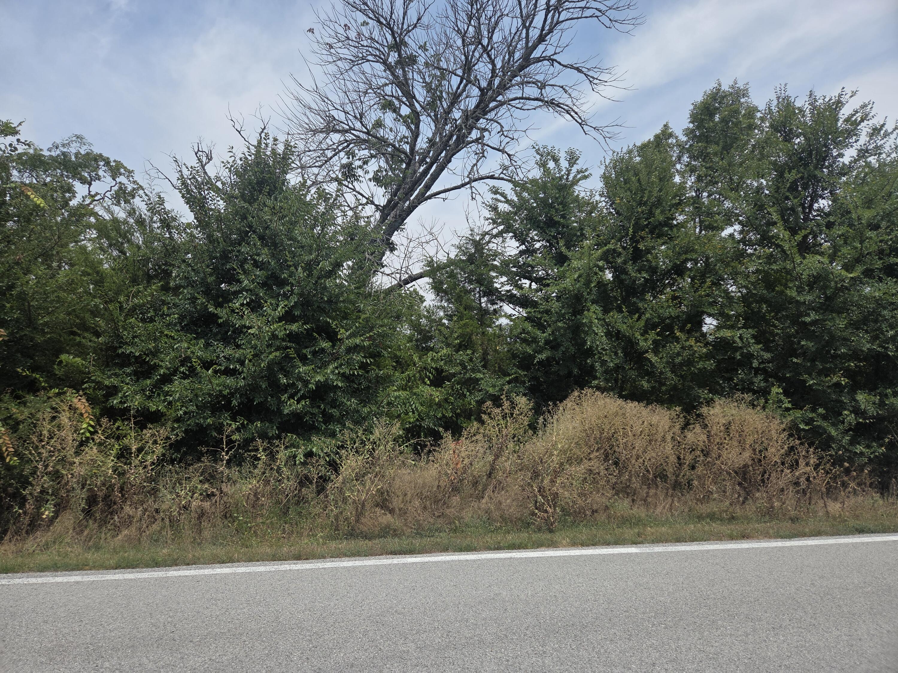 Lot 175 Black Forest Lane Property Photo 3