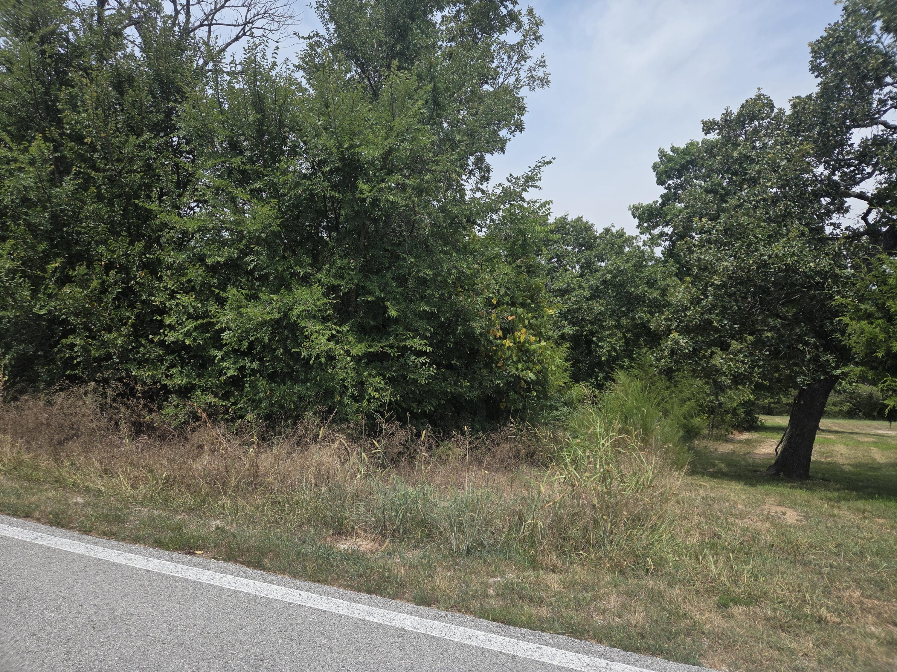 Lot 175 Black Forest Lane Property Photo 4