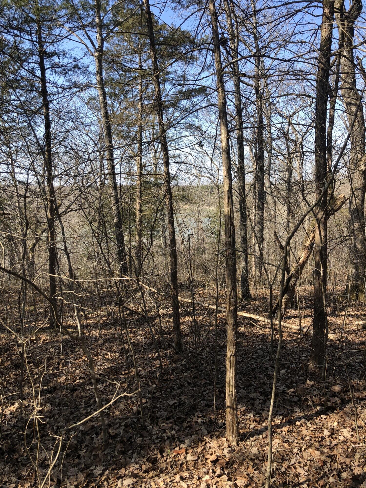 Lot 1 A Fox Fire Lane Lane Property Photo 11