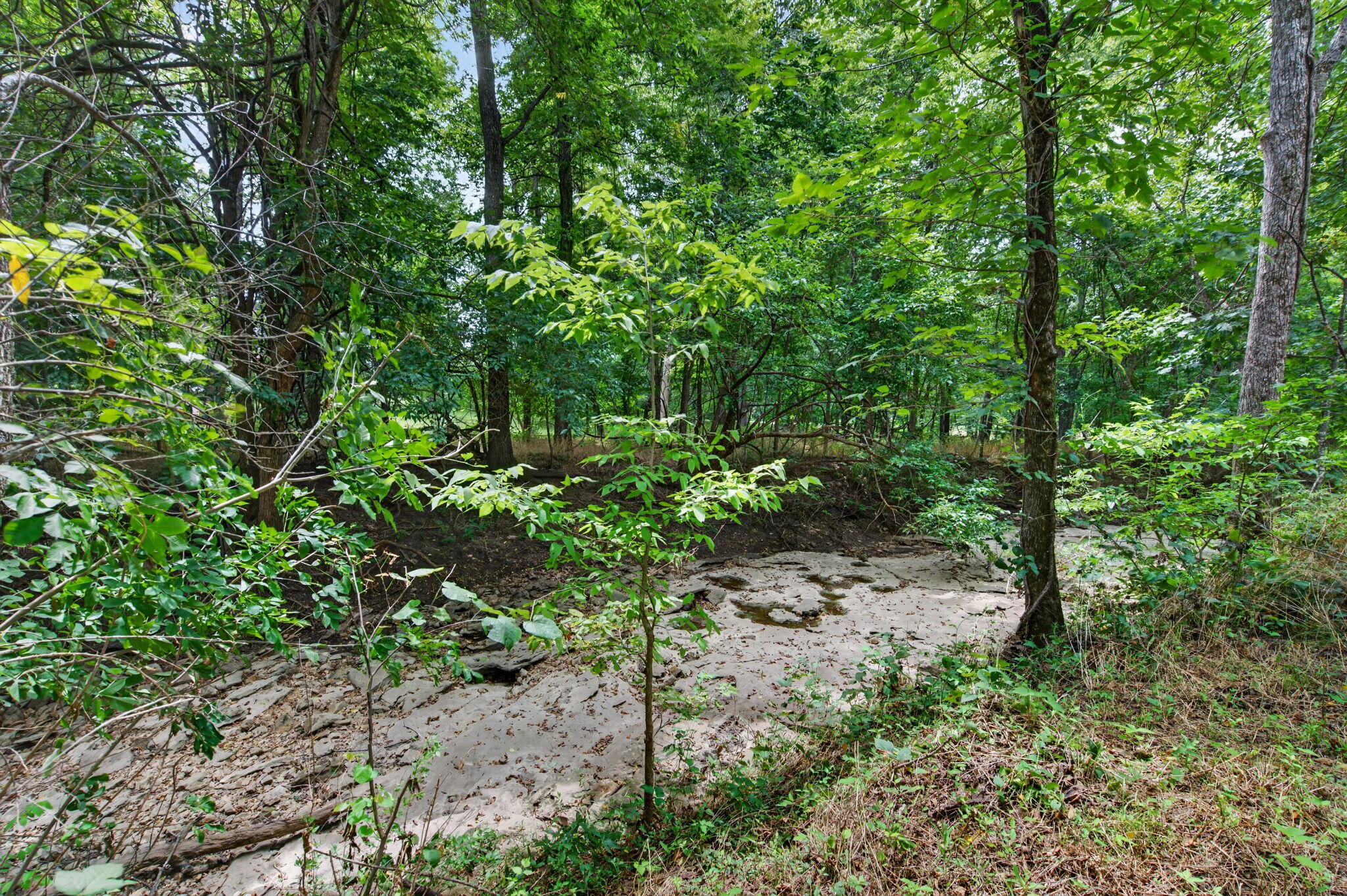8190 North Farm Road 81 Property Photo 45