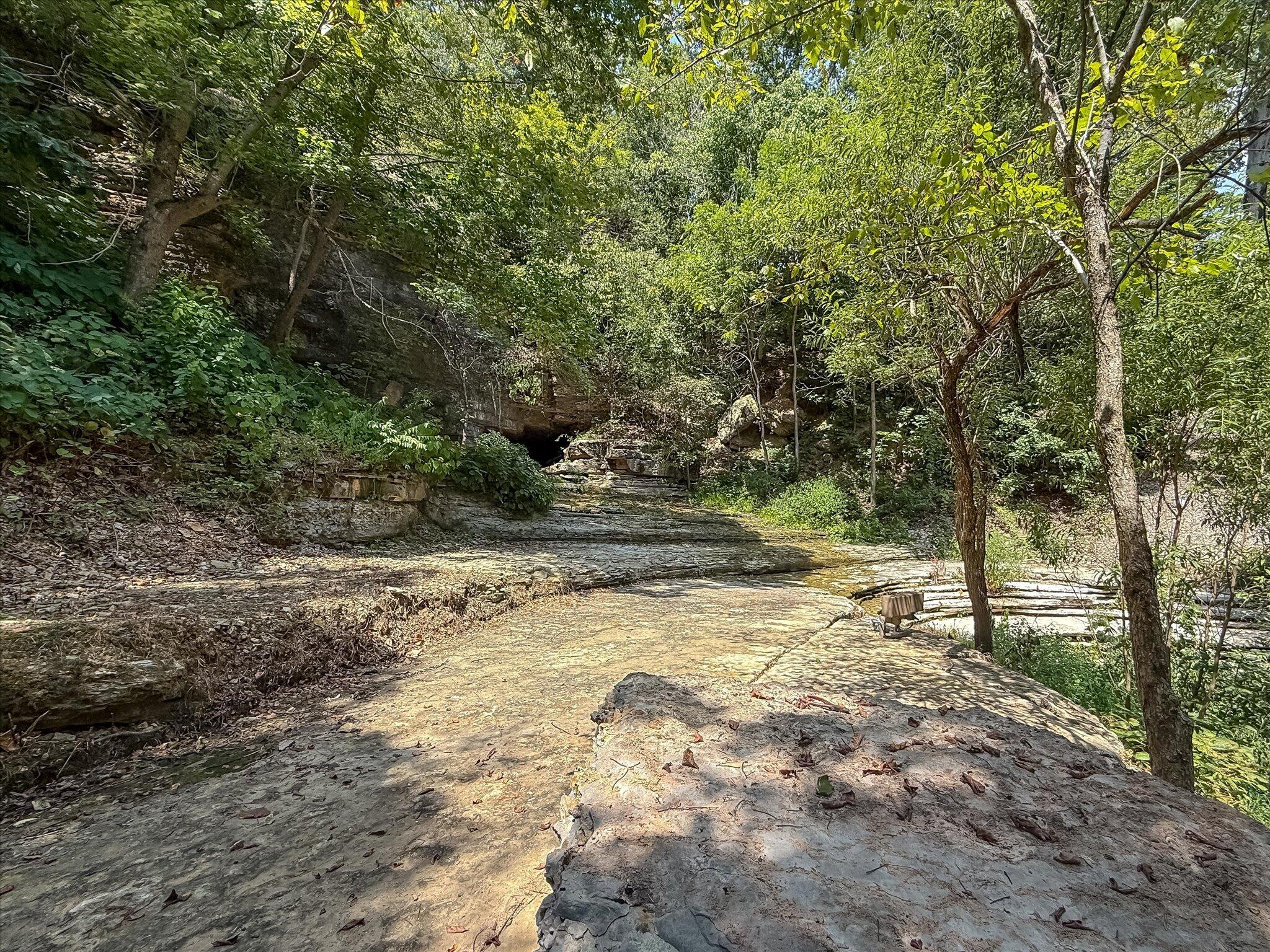 3378 Warner Road Property Photo 97