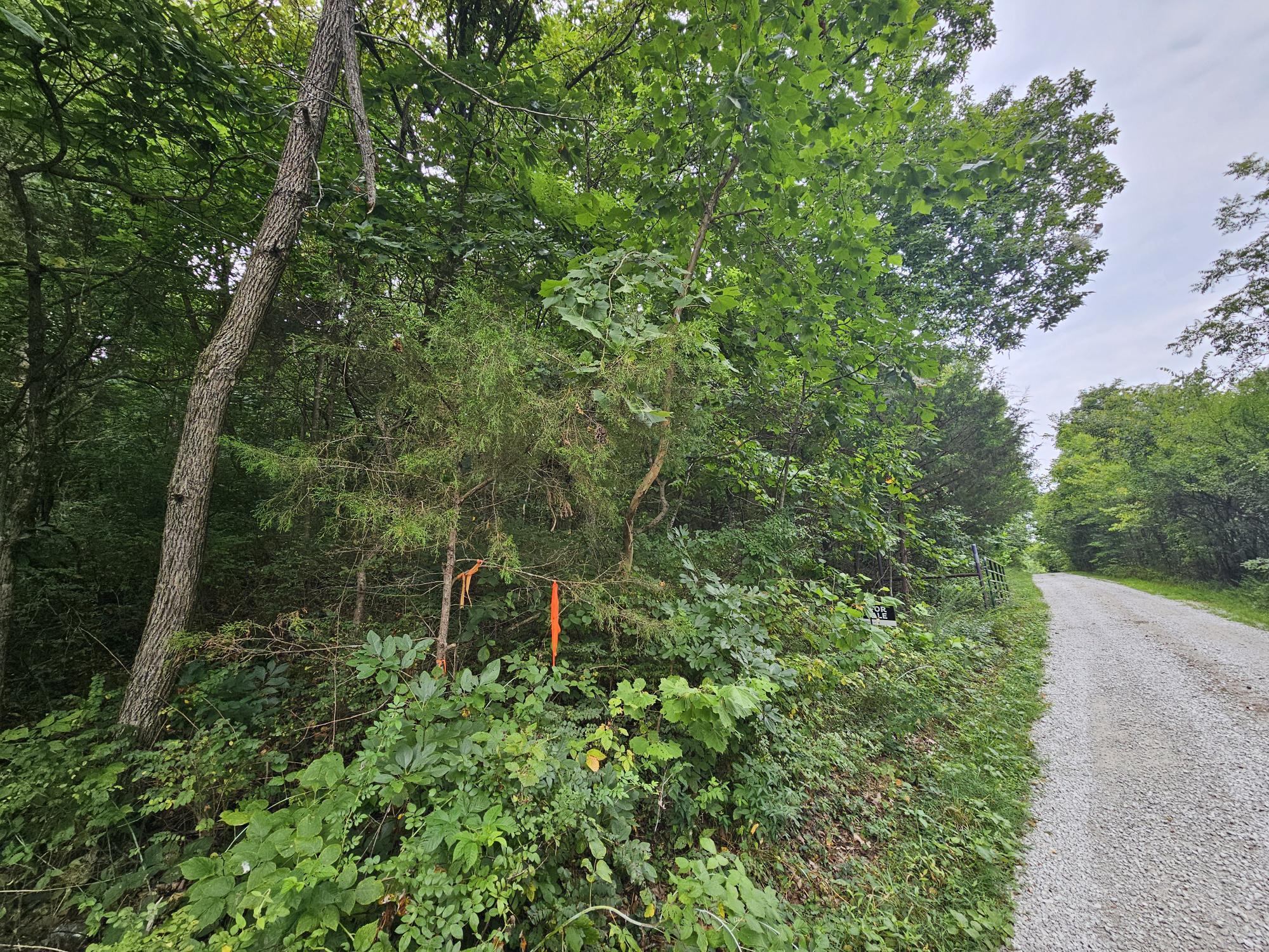 000-18 Ac Westview Road Property Photo 2