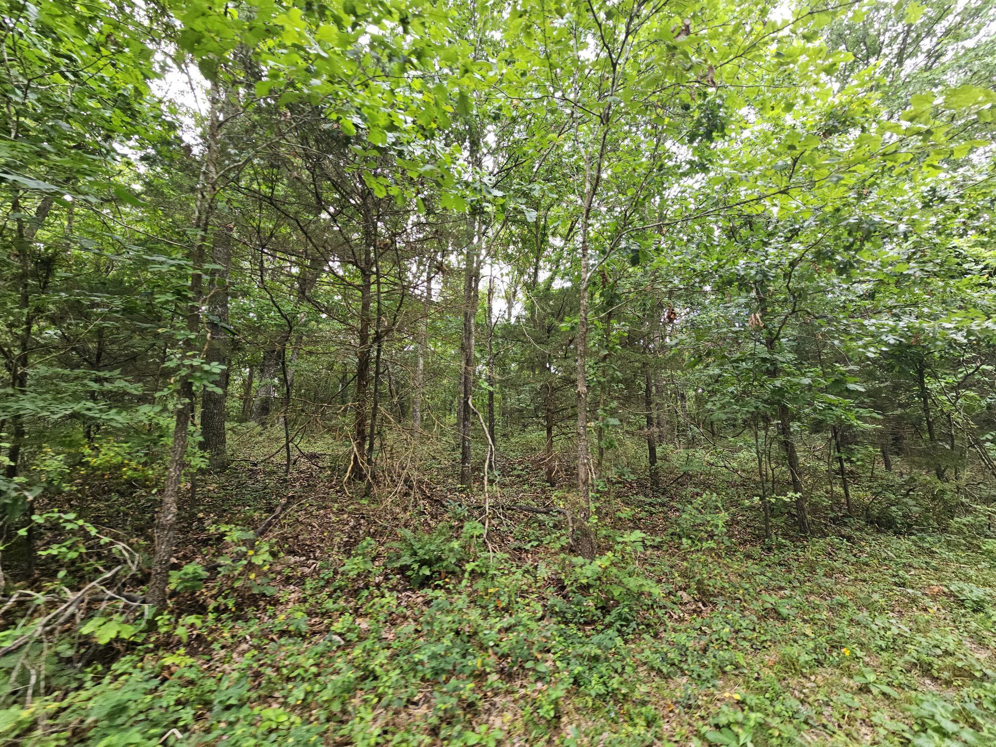 000-18 Ac Westview Road Property Photo 3