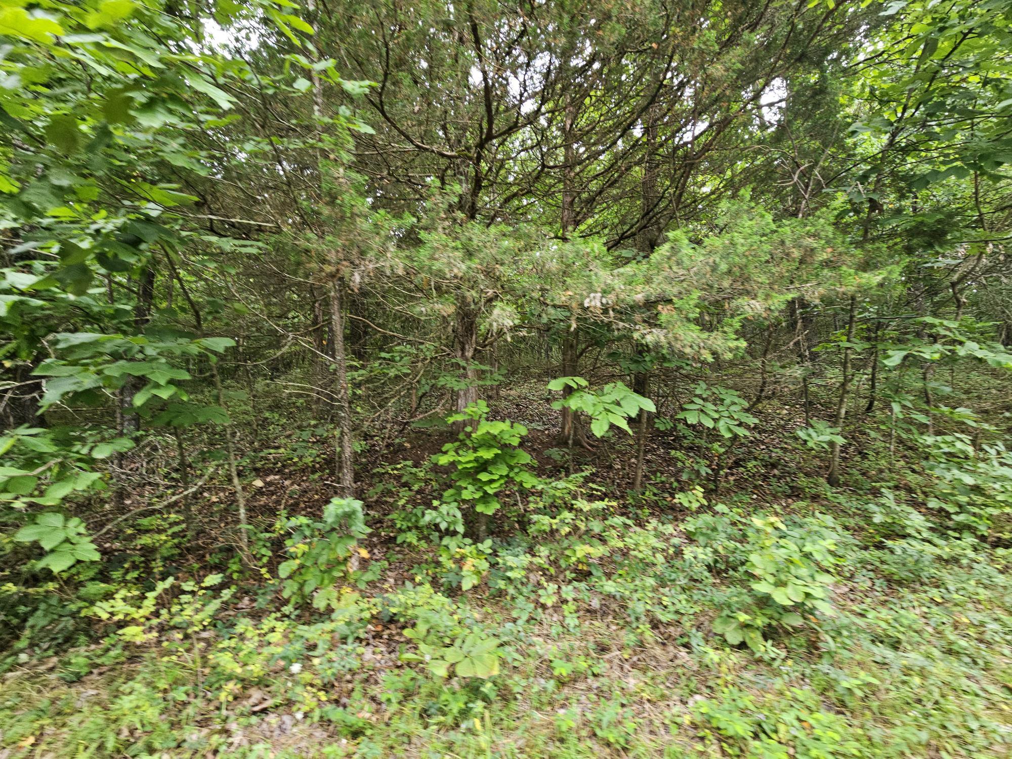 000-18 Ac Westview Road Property Photo 4