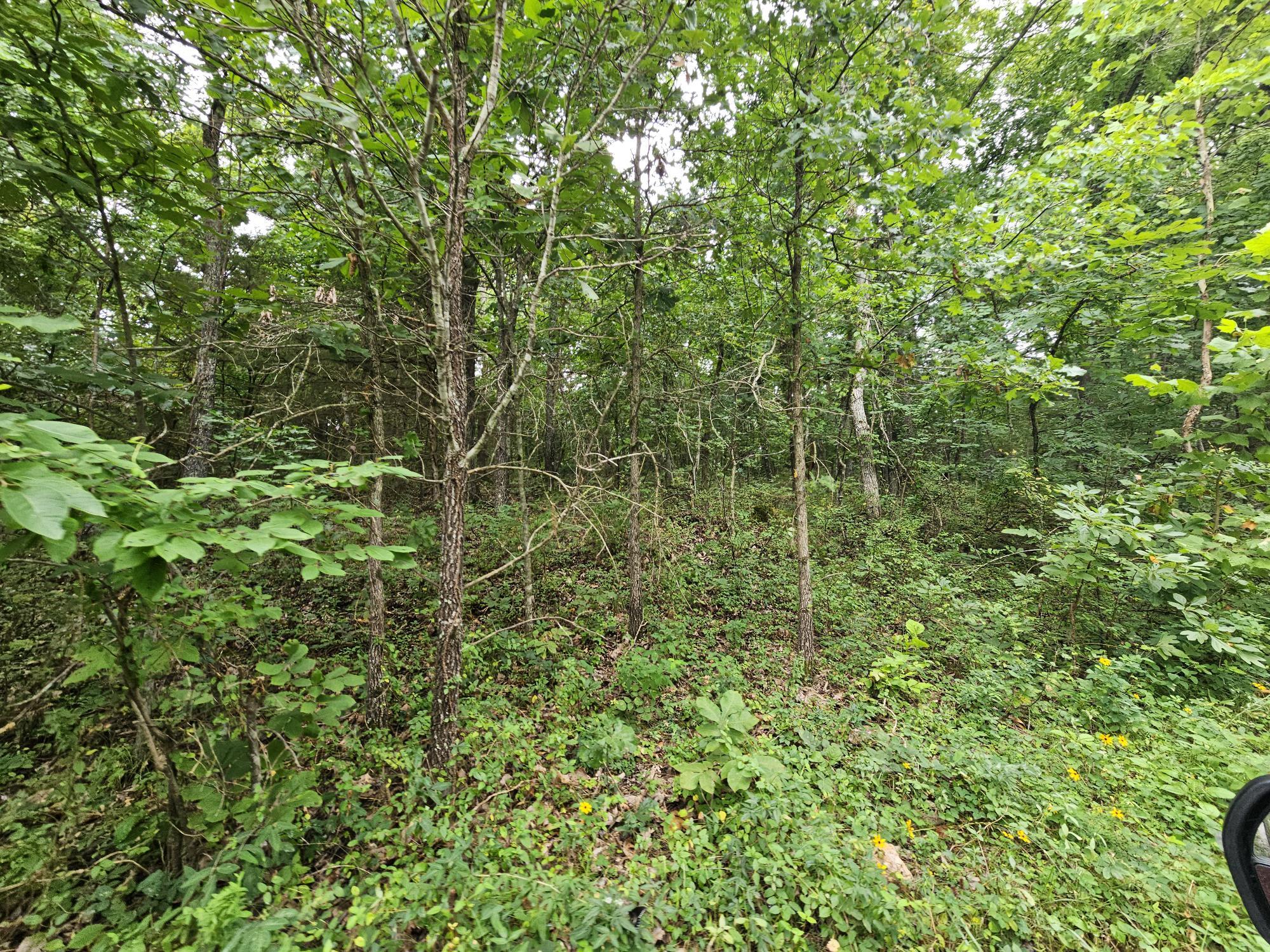 000-18 Ac Westview Road Property Photo 11