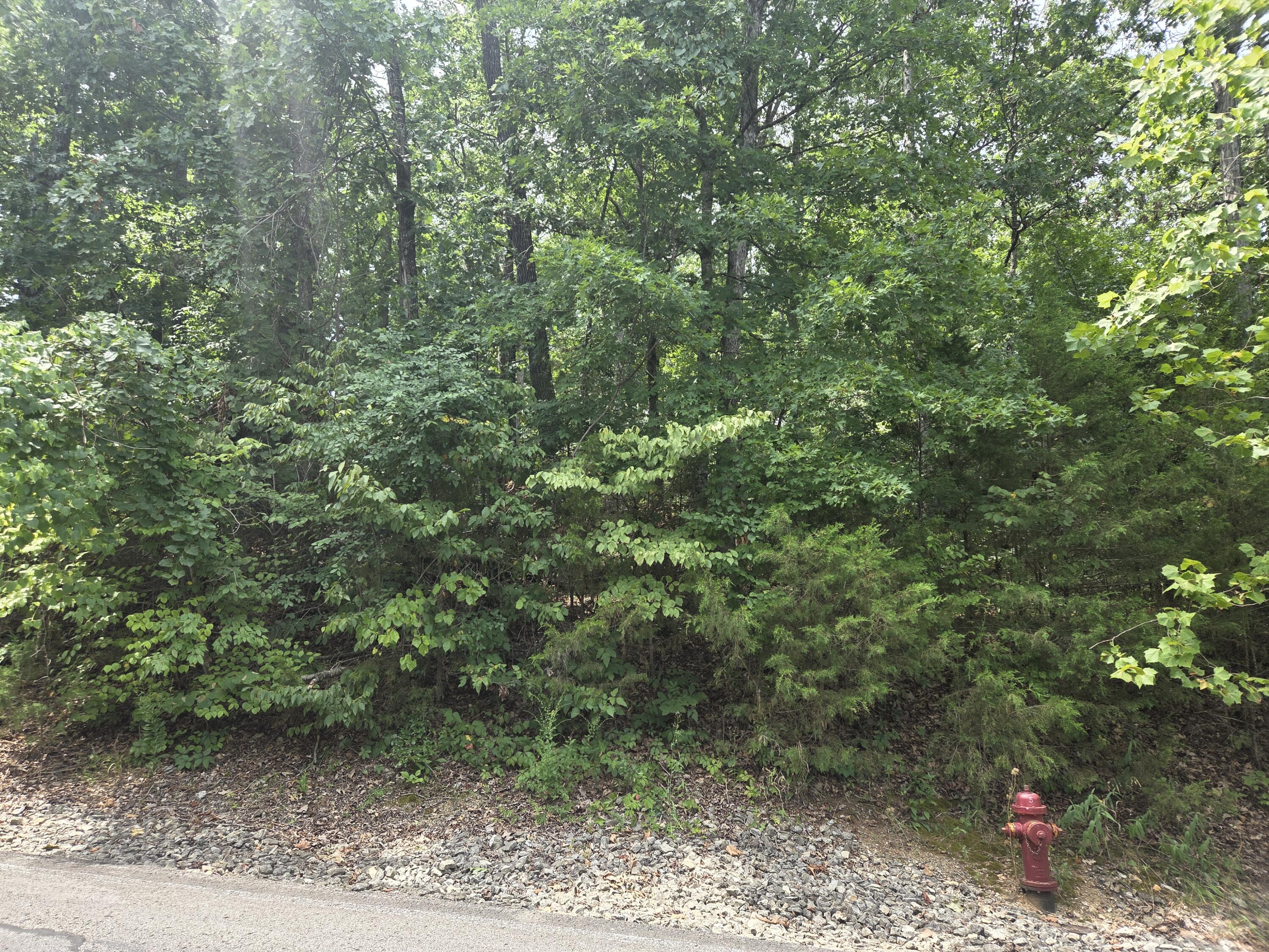Lot 13 Silvercliff Way Property Photo 1