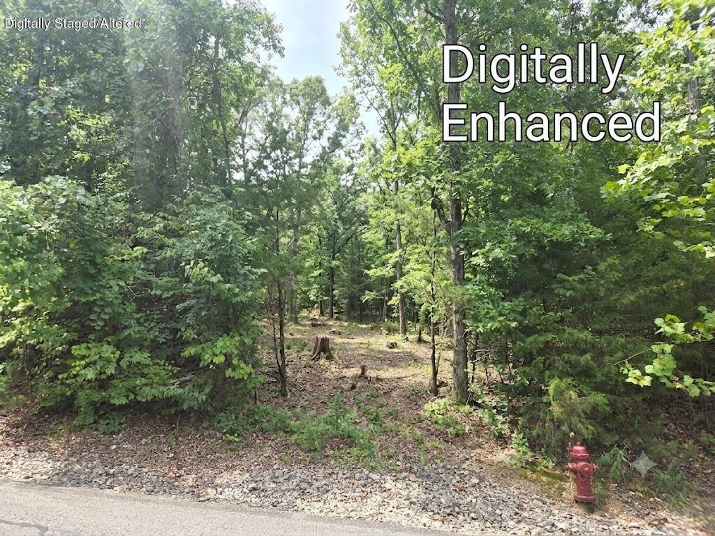 Lot 13 Silvercliff Way Property Photo 2