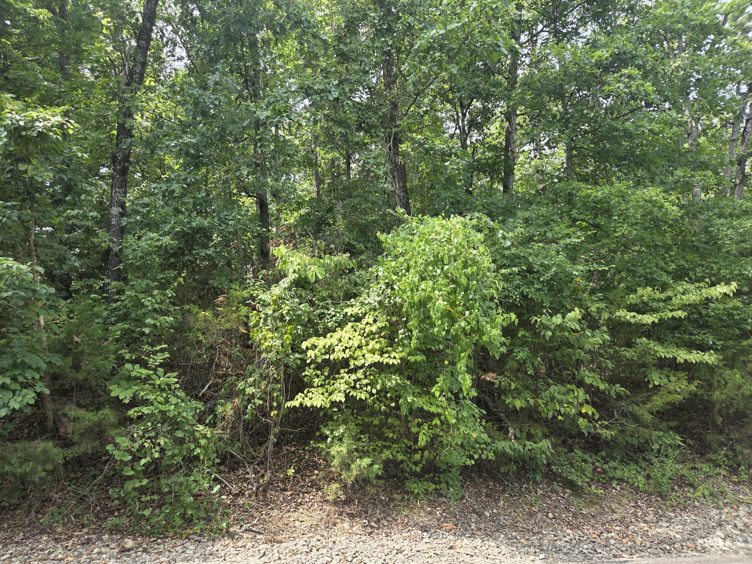Lot 13 Silvercliff Way Property Photo 3
