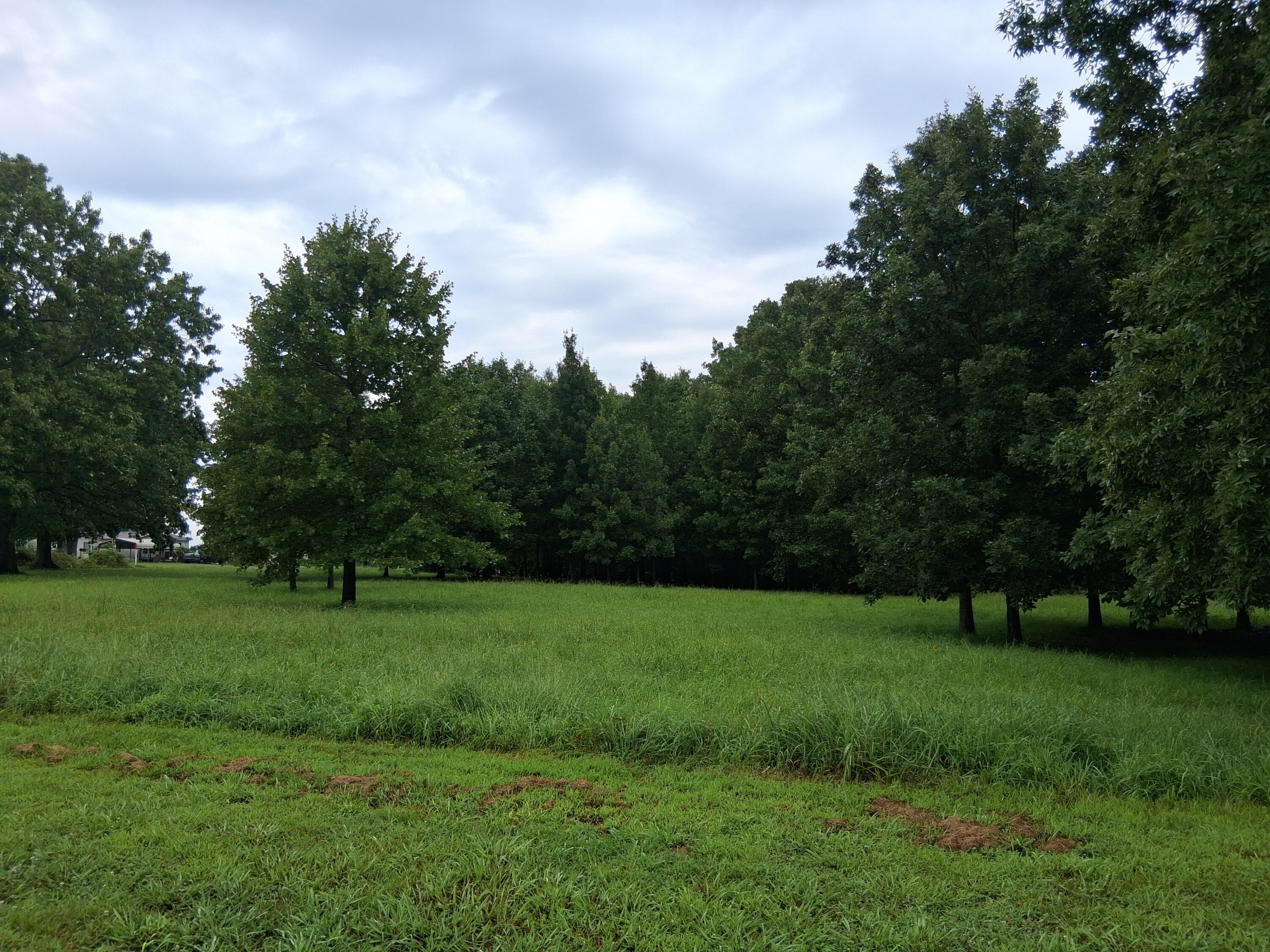 10122 Private Road 6801 Property Photo 8