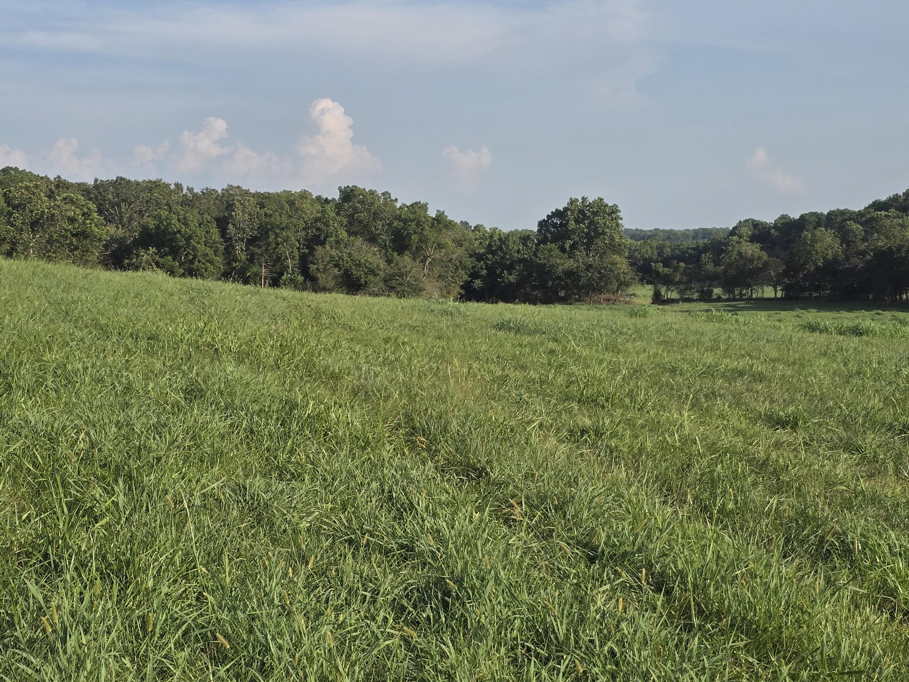 000 County Road 931 Property Photo 3