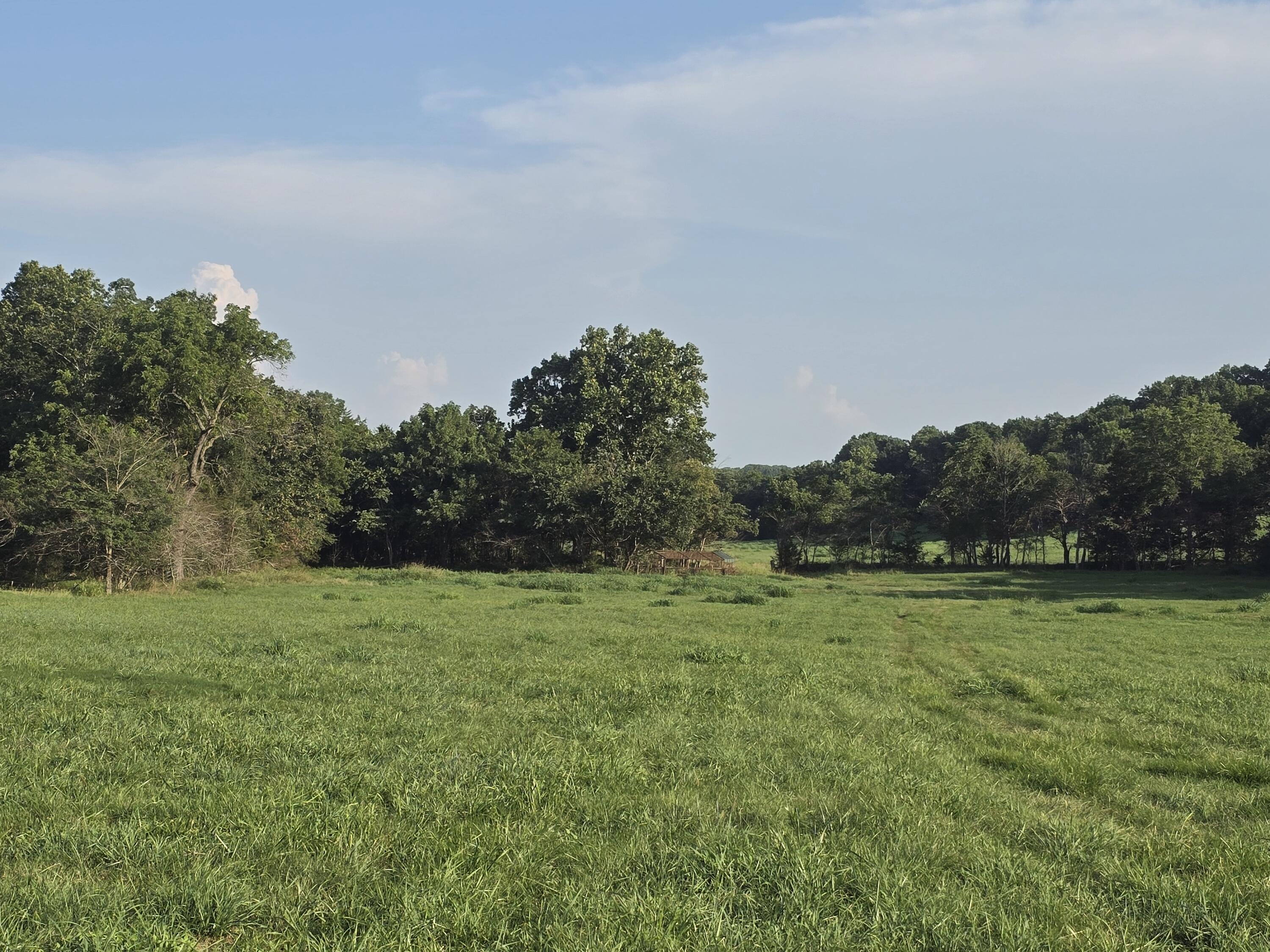 000 County Road 931 Property Photo 4