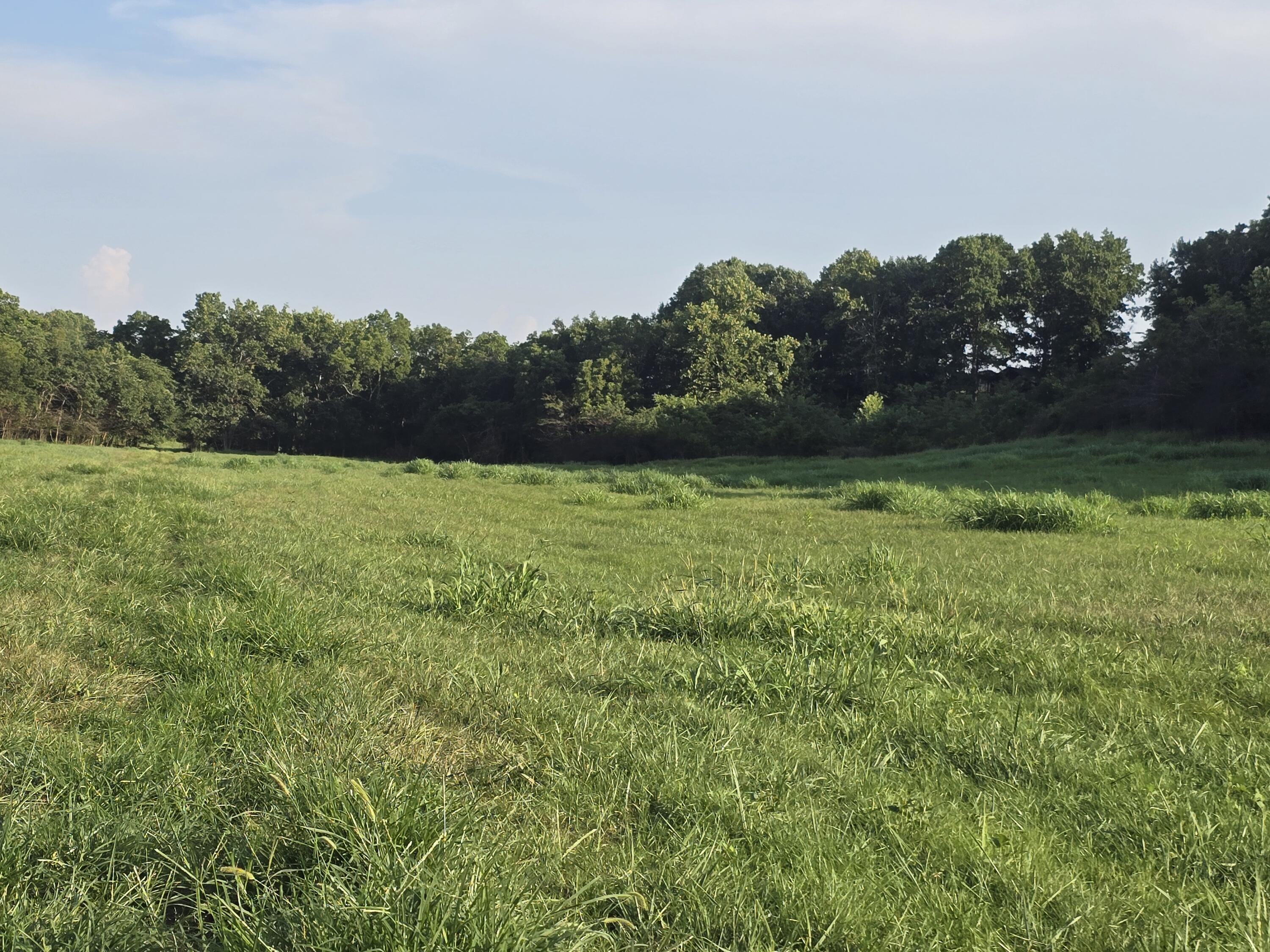 000 County Road 931 Property Photo 5