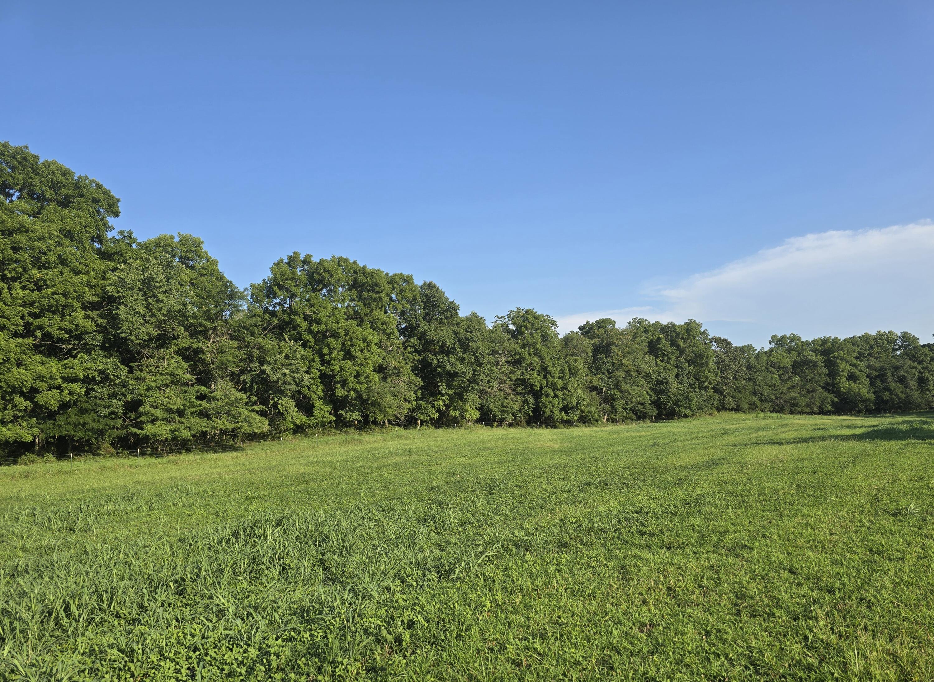 000 County Road 931 Property Photo 10