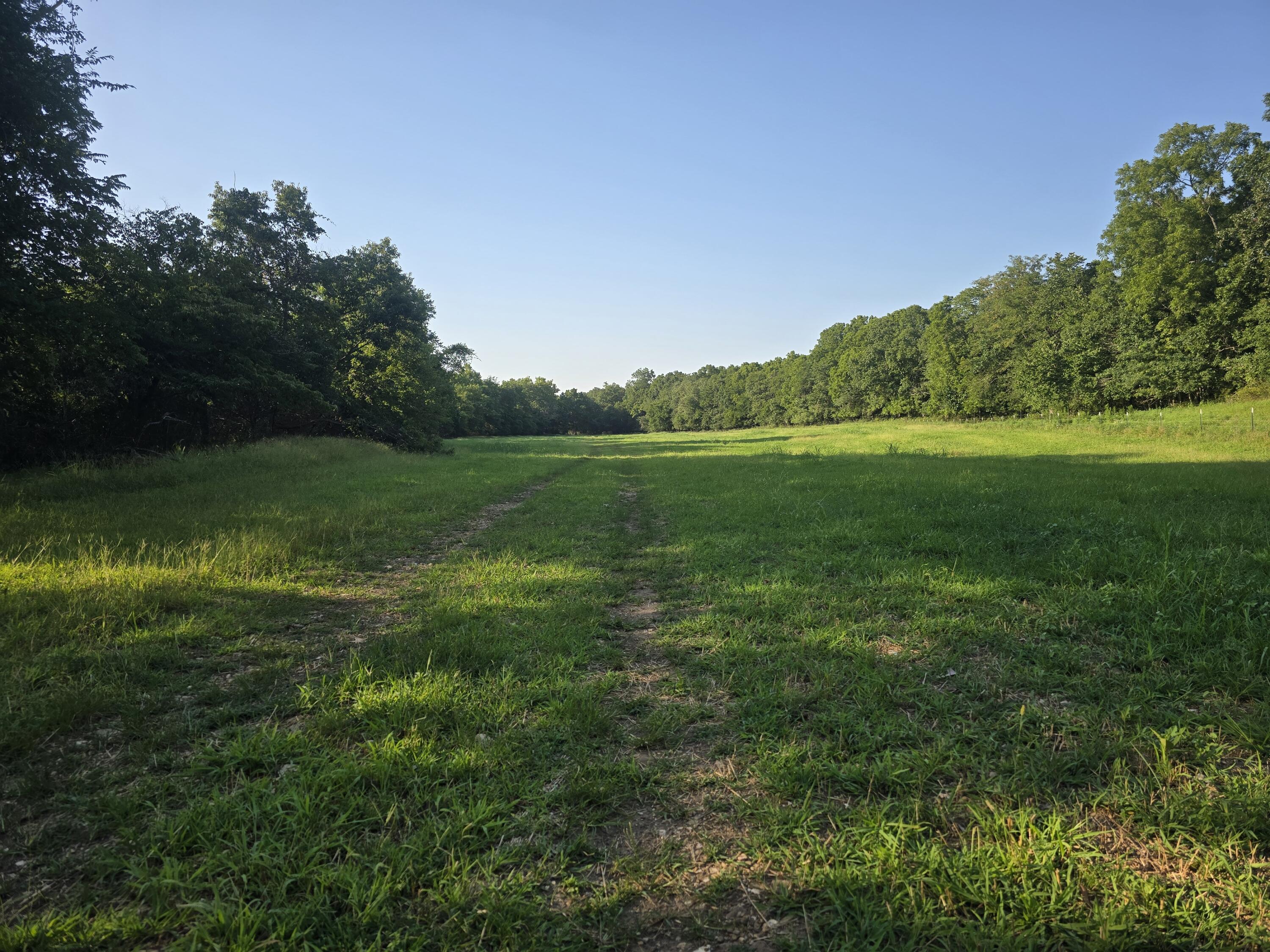 000 County Road 931 Property Photo 12