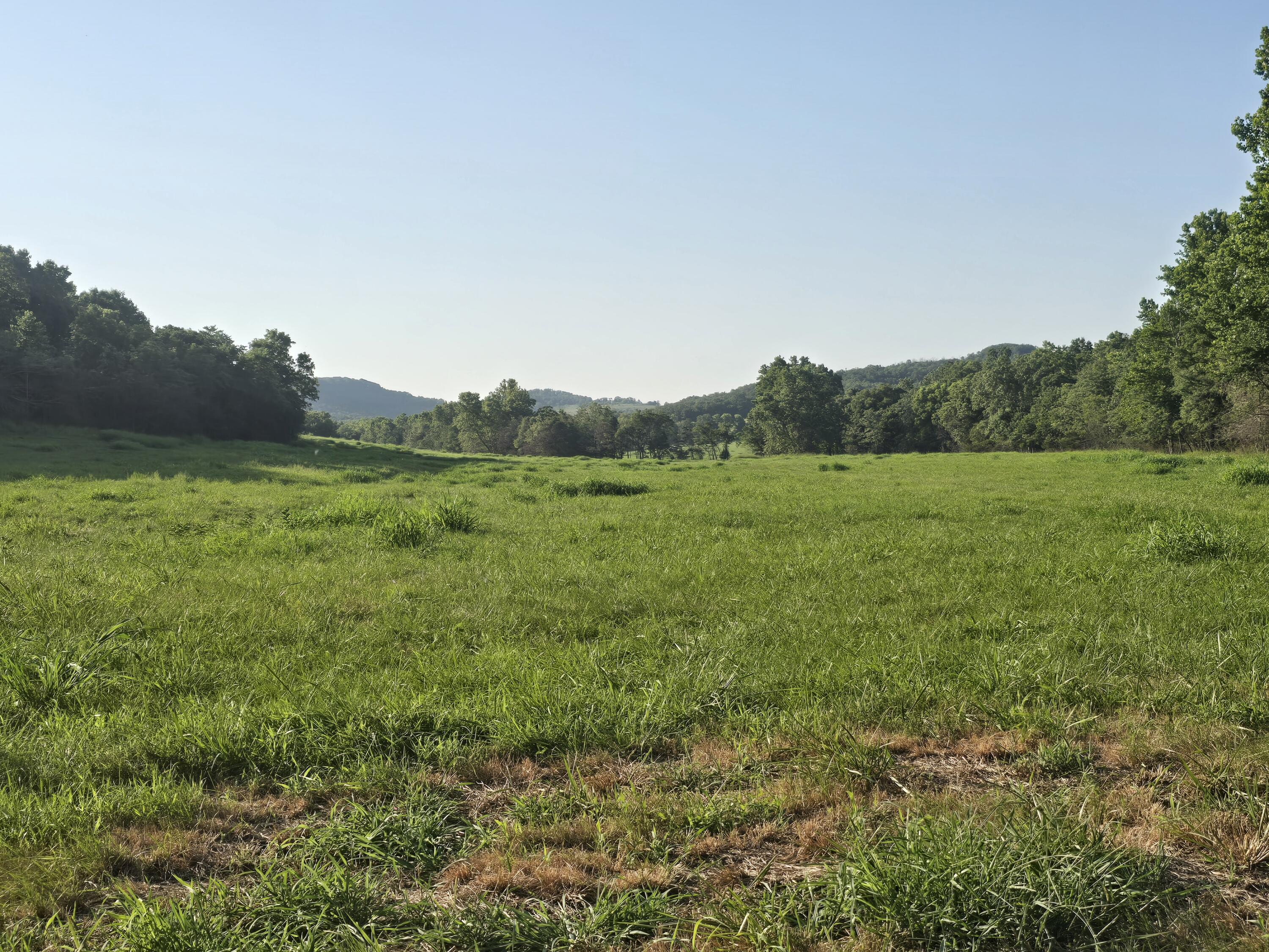 000 County Road 931 Property Photo 13