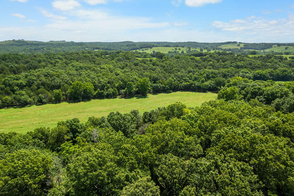 000 County Road 931 Property Photo 18