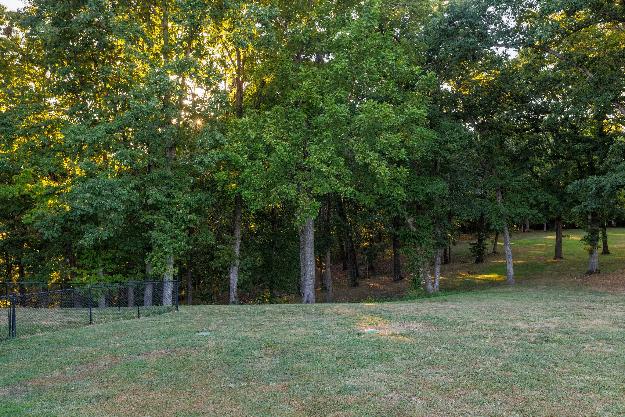 1657 South Timber Lake Drive Property Photo 41