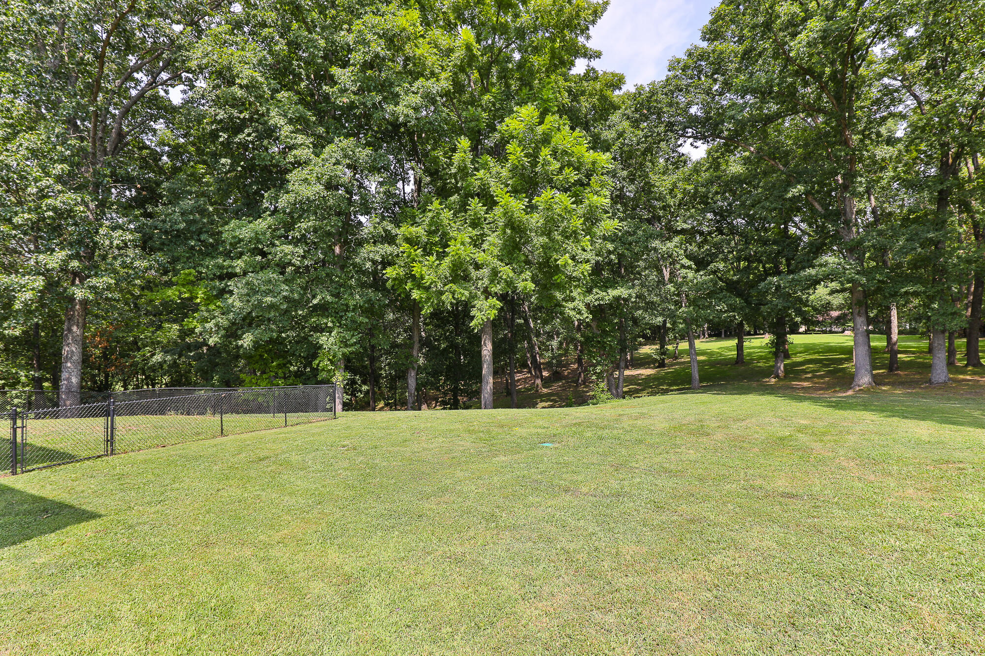1657 South Timber Lake Drive Property Photo 44