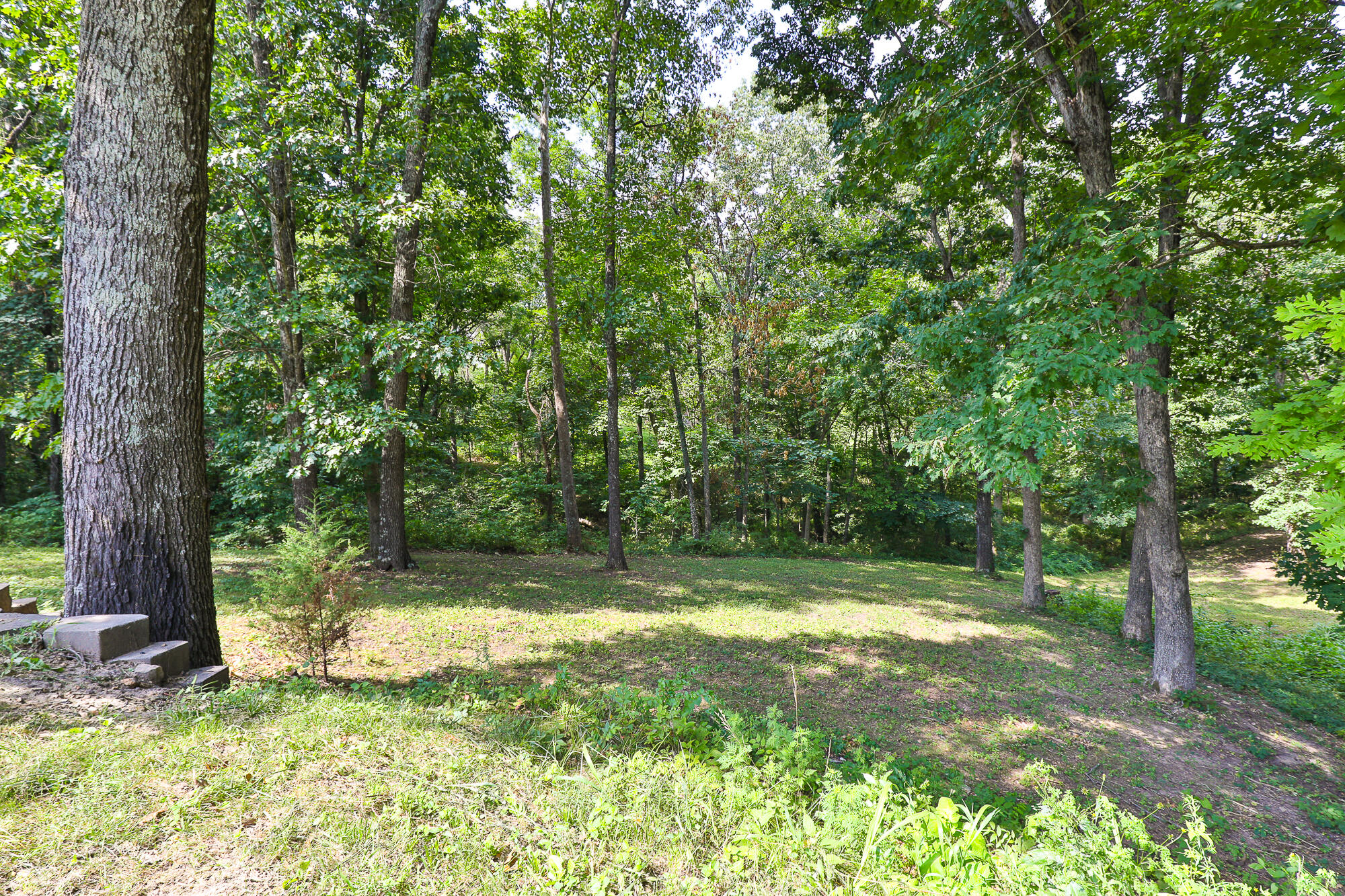 1657 South Timber Lake Drive Property Photo 46