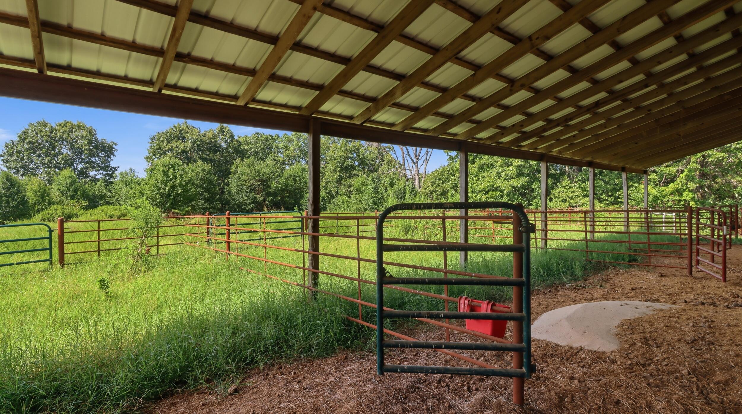 1038 County Road 1280 Property Photo 35