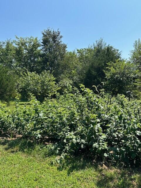 12282 North State Highway H Property Photo 32