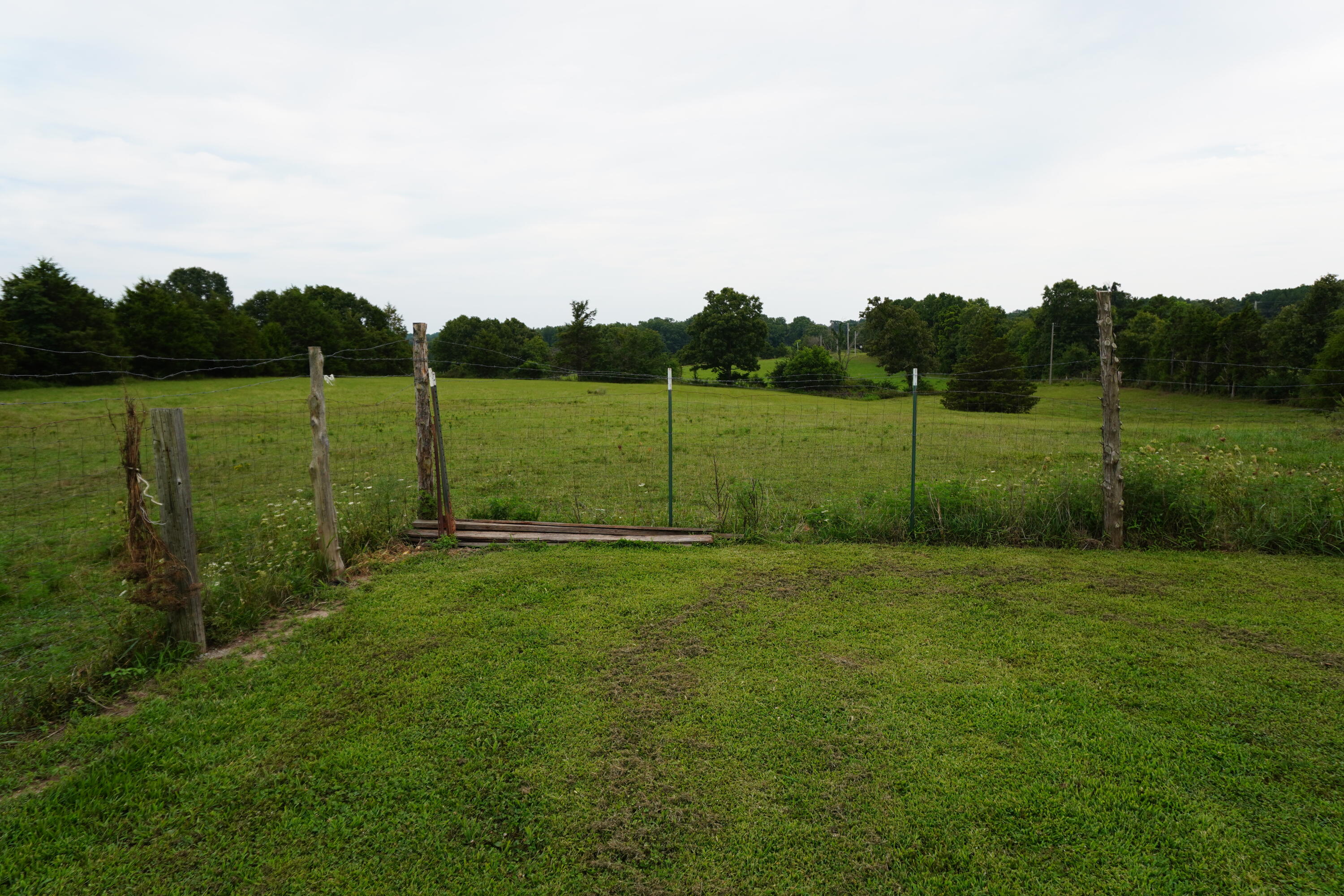 13226 Cr 437 Property Photo 21