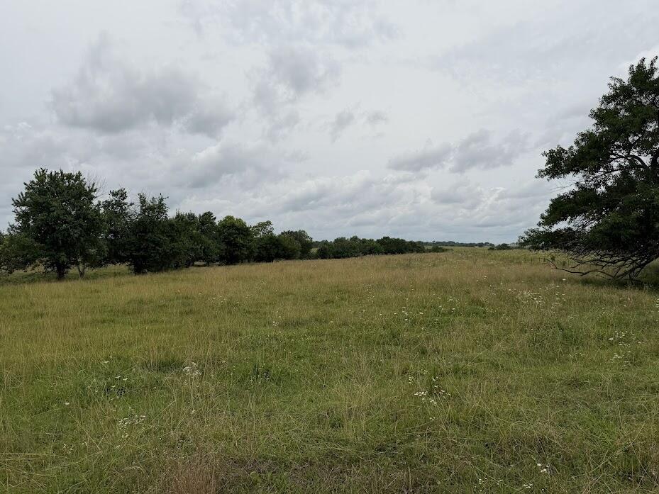 Tract 6 State Route T Property Photo 4