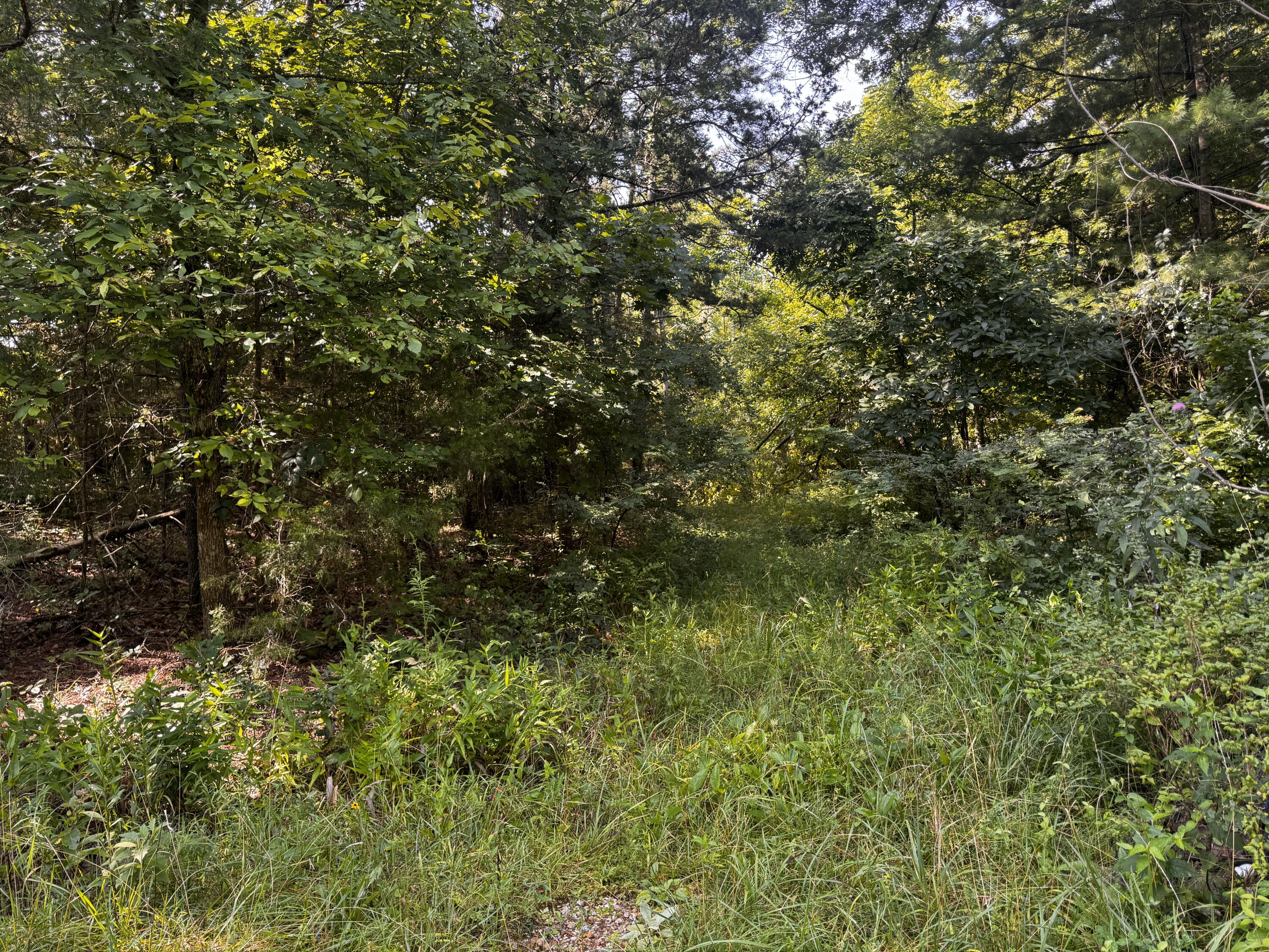 1191 County Road 5250 Property Photo 54
