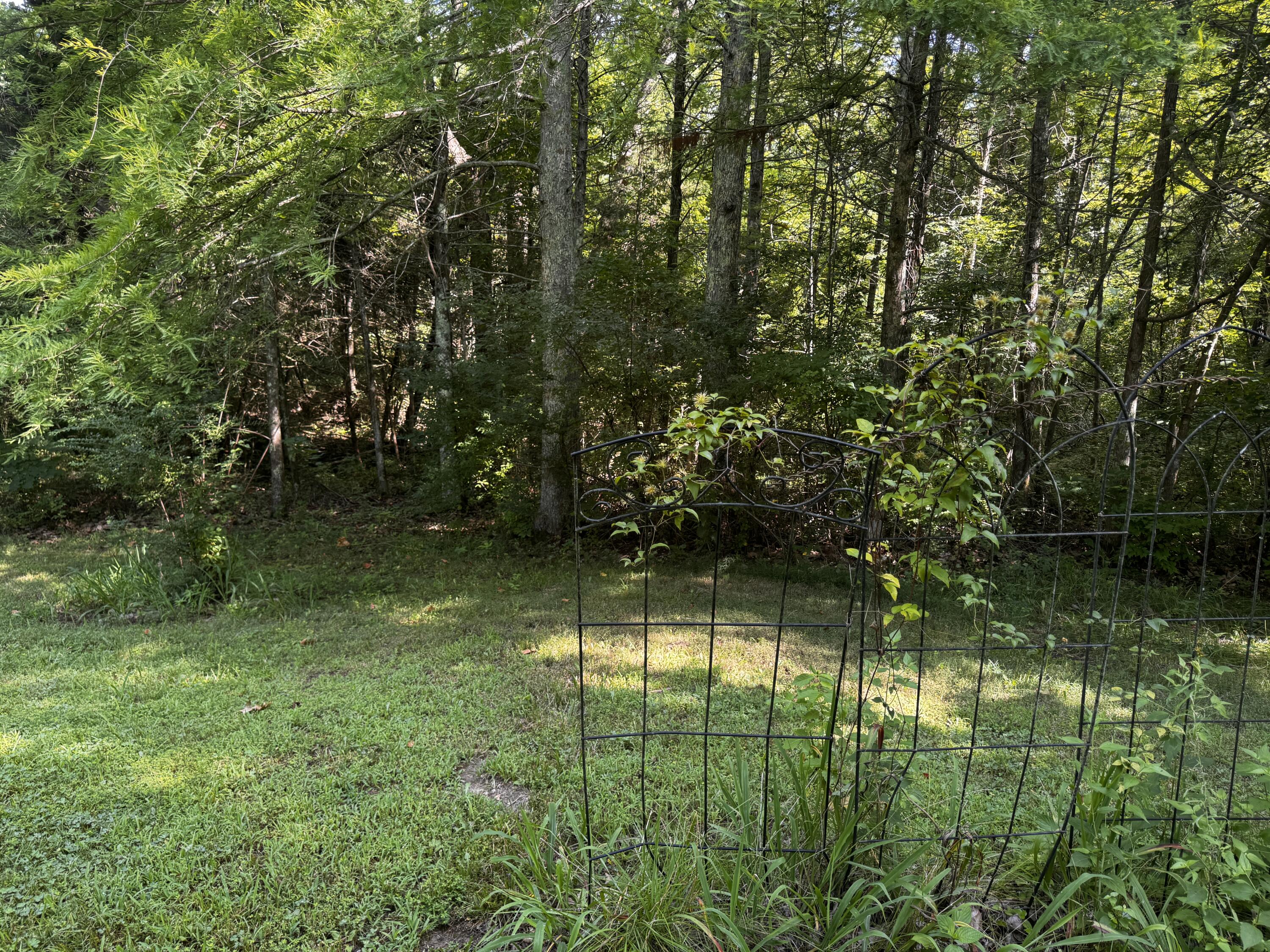 1191 County Road 5250 Property Photo 55