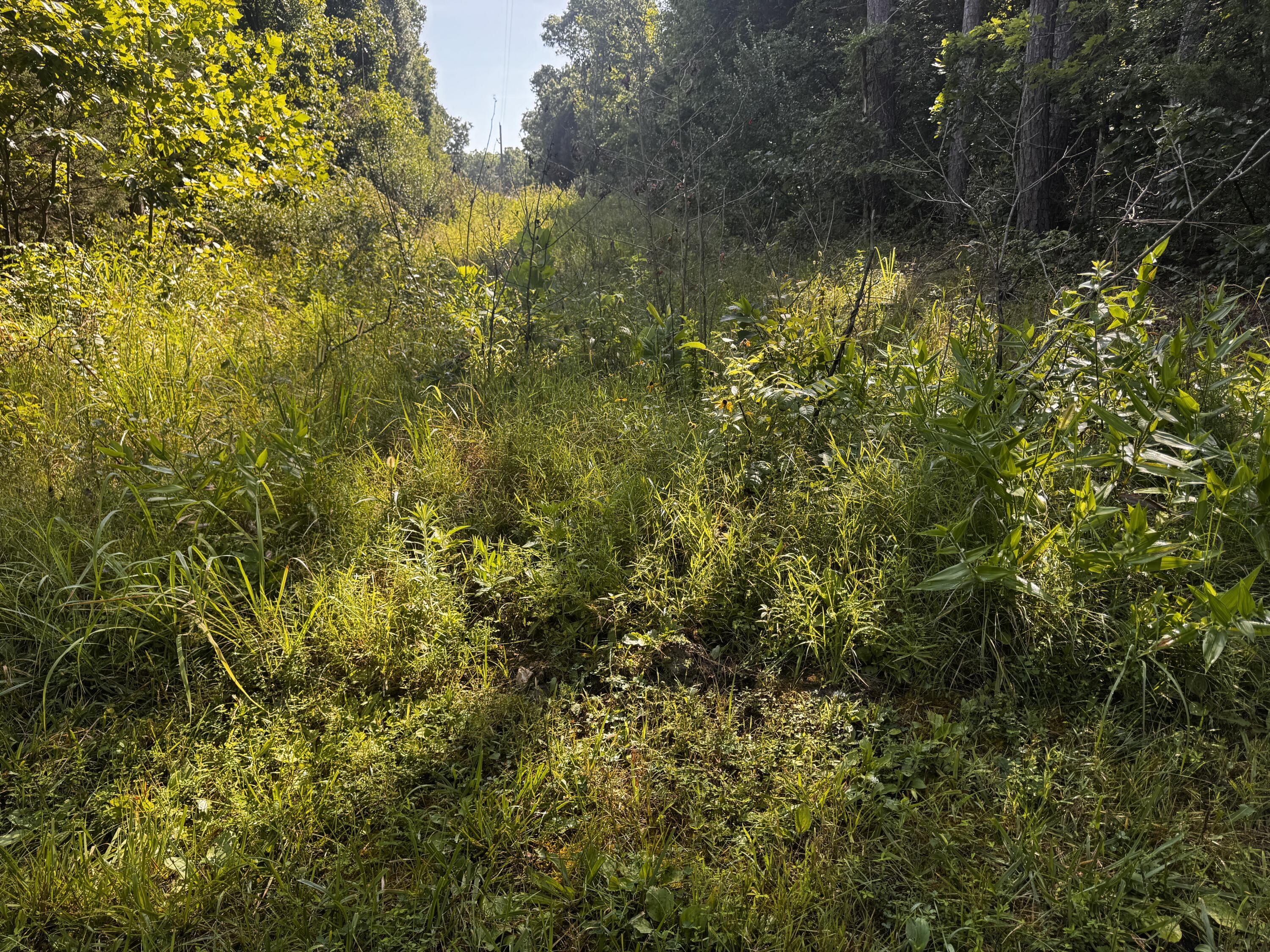 1191 County Road 5250 Property Photo 56