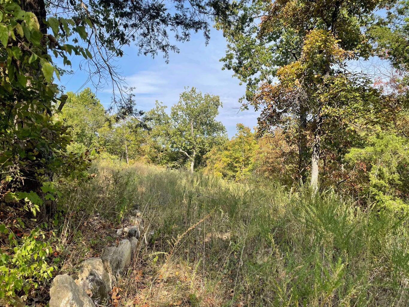 000 Lakeview Drive Property Photo 3