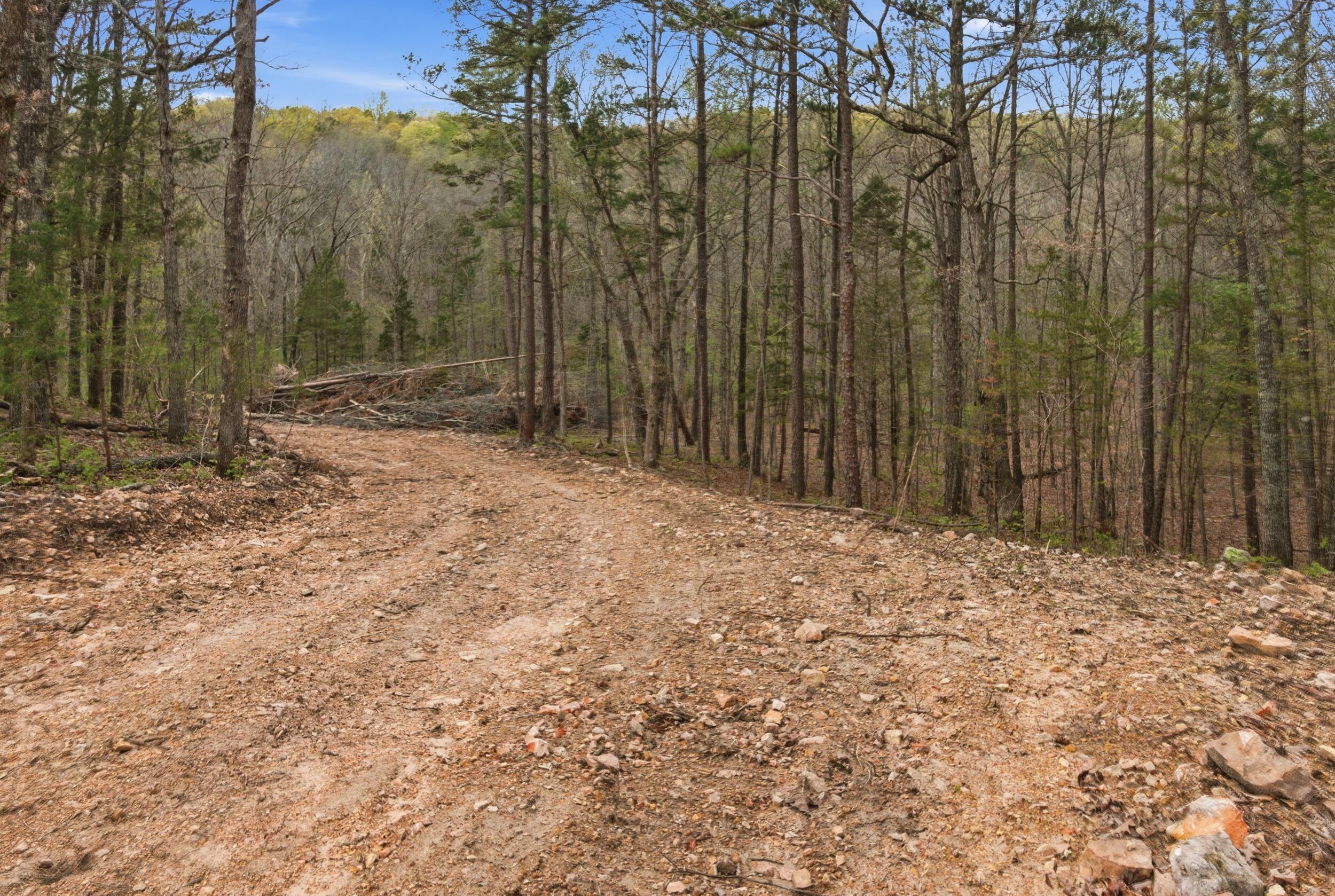 Tract 5 West Highway 32 Property Photo 1