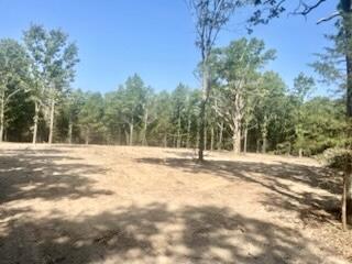 Tract 1&2 West Highway 32 Property Photo 1