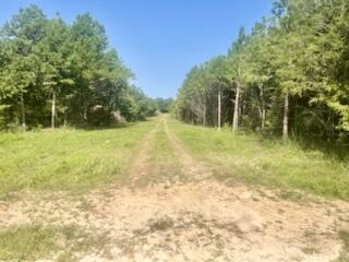 Tract 1&2 West Highway 32 Property Photo 3