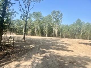 Tract 1&2 West Highway 32 Property Photo 4