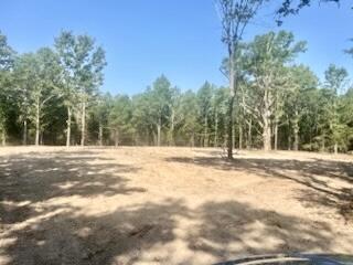 Tract 1&2 West Highway 32 Property Photo 5