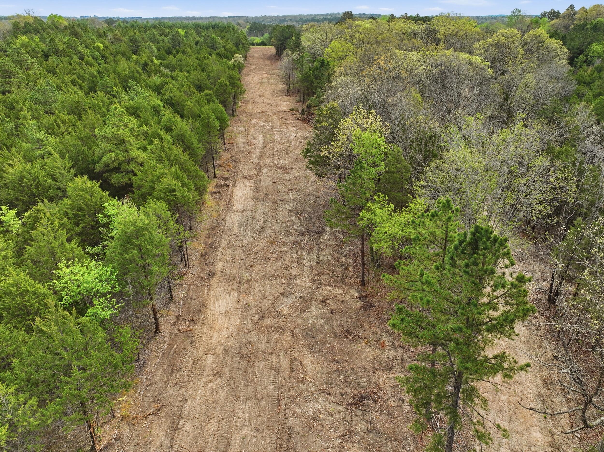 Tract 1&2 West Highway 32 Property Photo 7