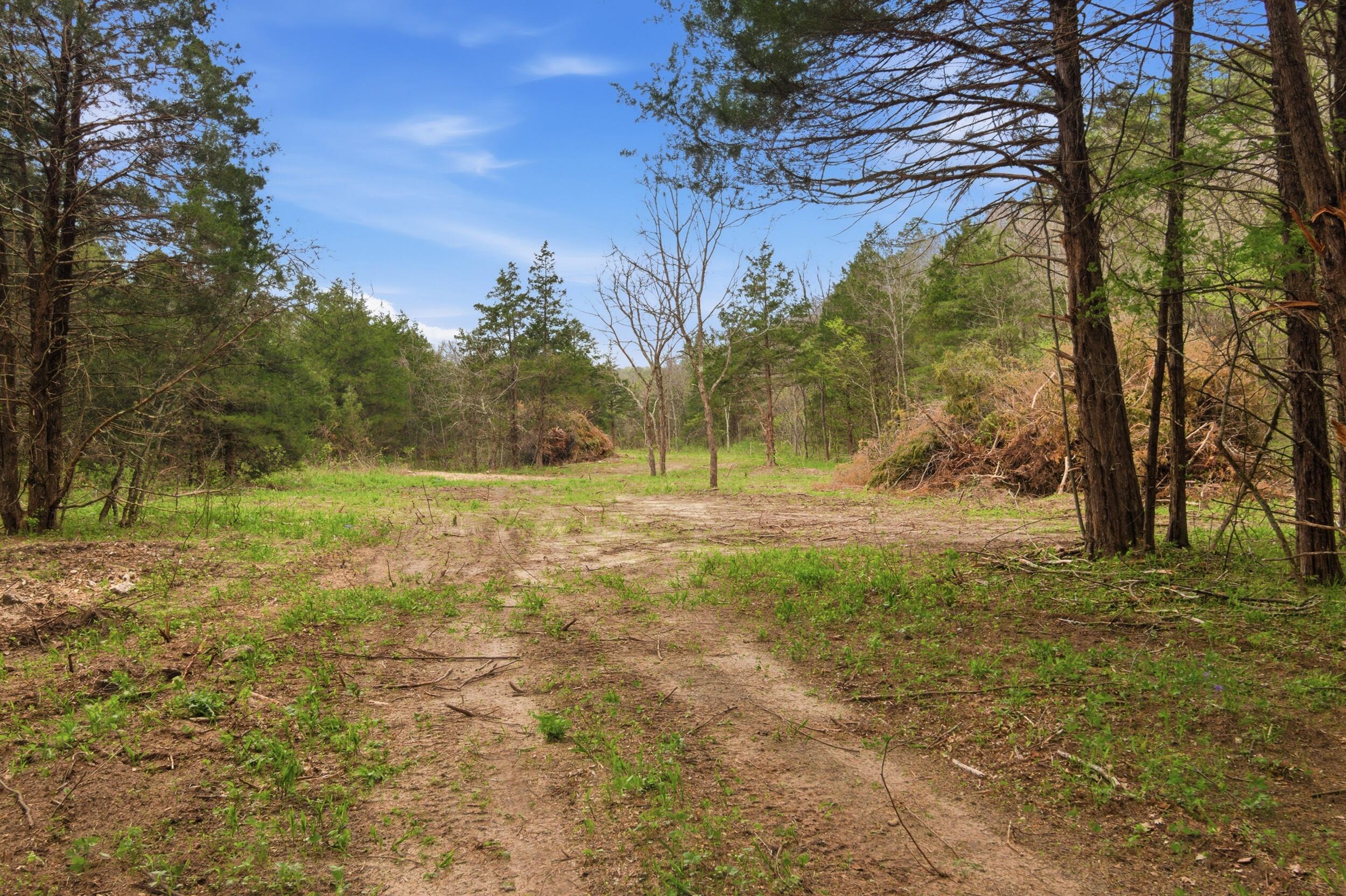 Tract3 West Highway 32 Property Photo 1