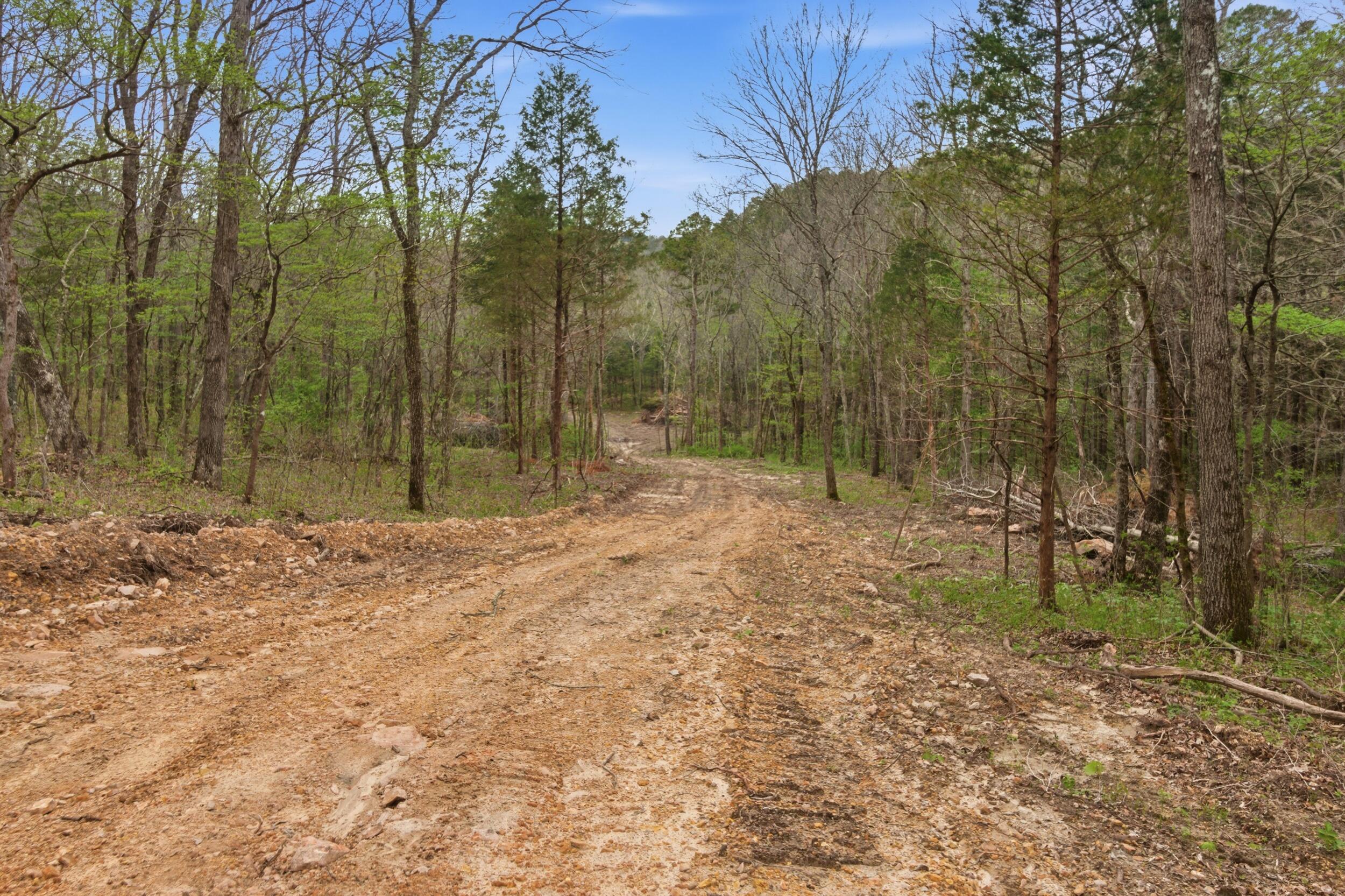 Tract3 West Highway 32 Property Photo 2