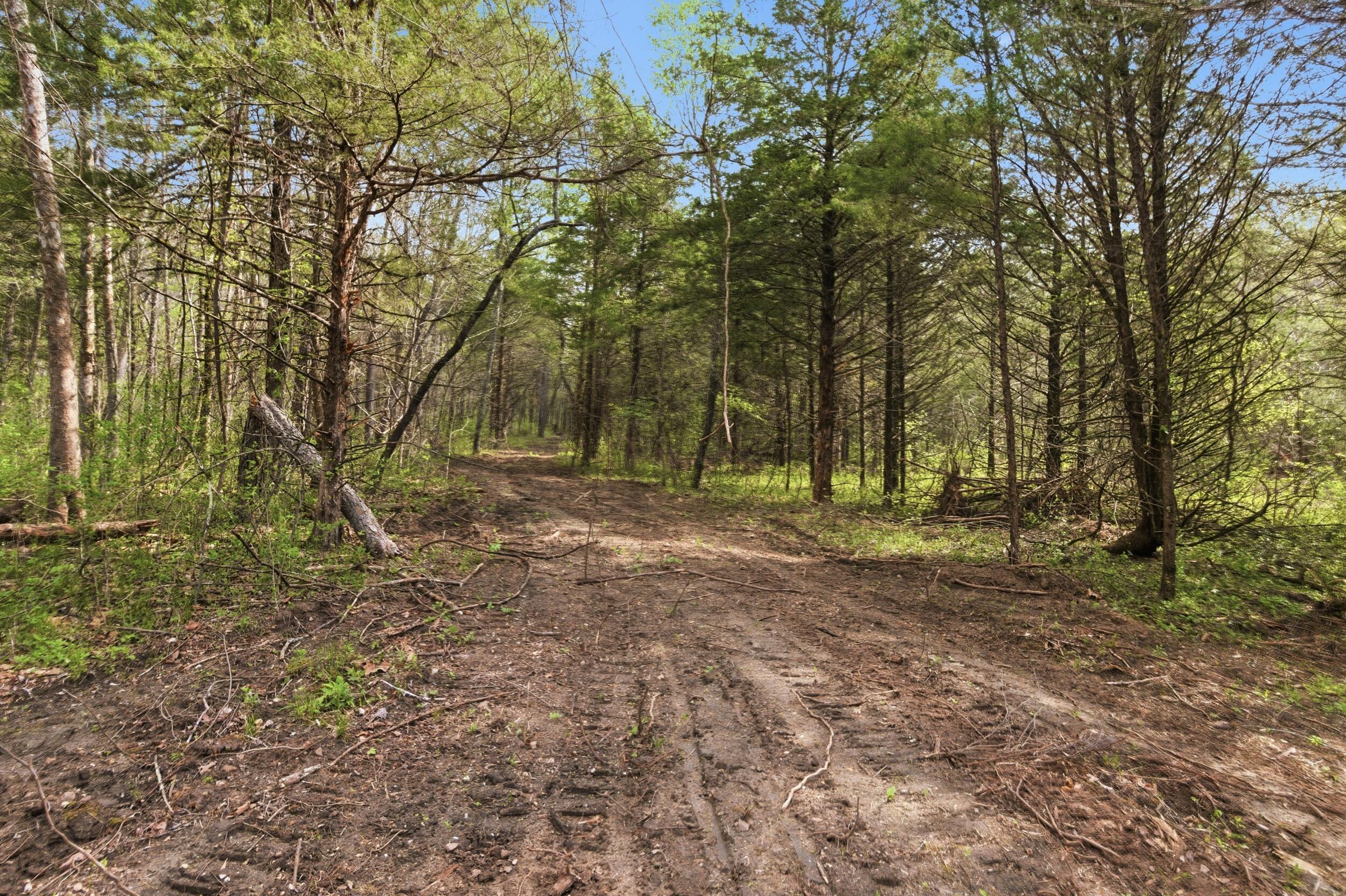 Tract3 West Highway 32 Property Photo 10