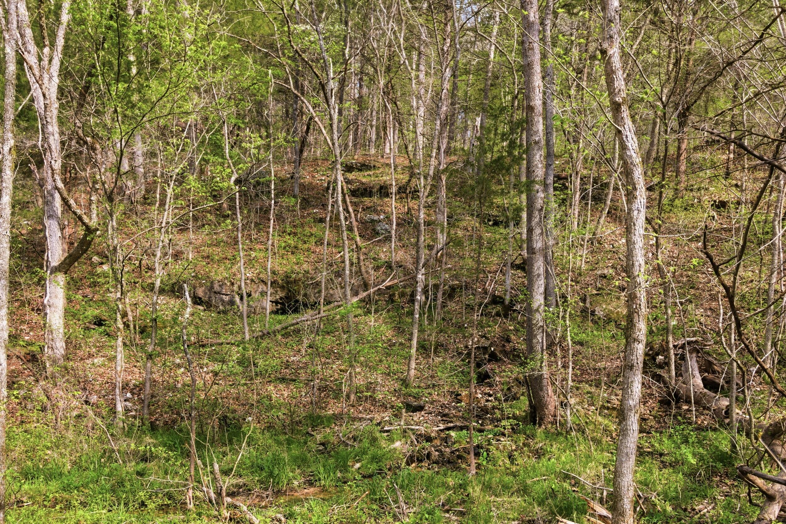 Tract3 West Highway 32 Property Photo 11