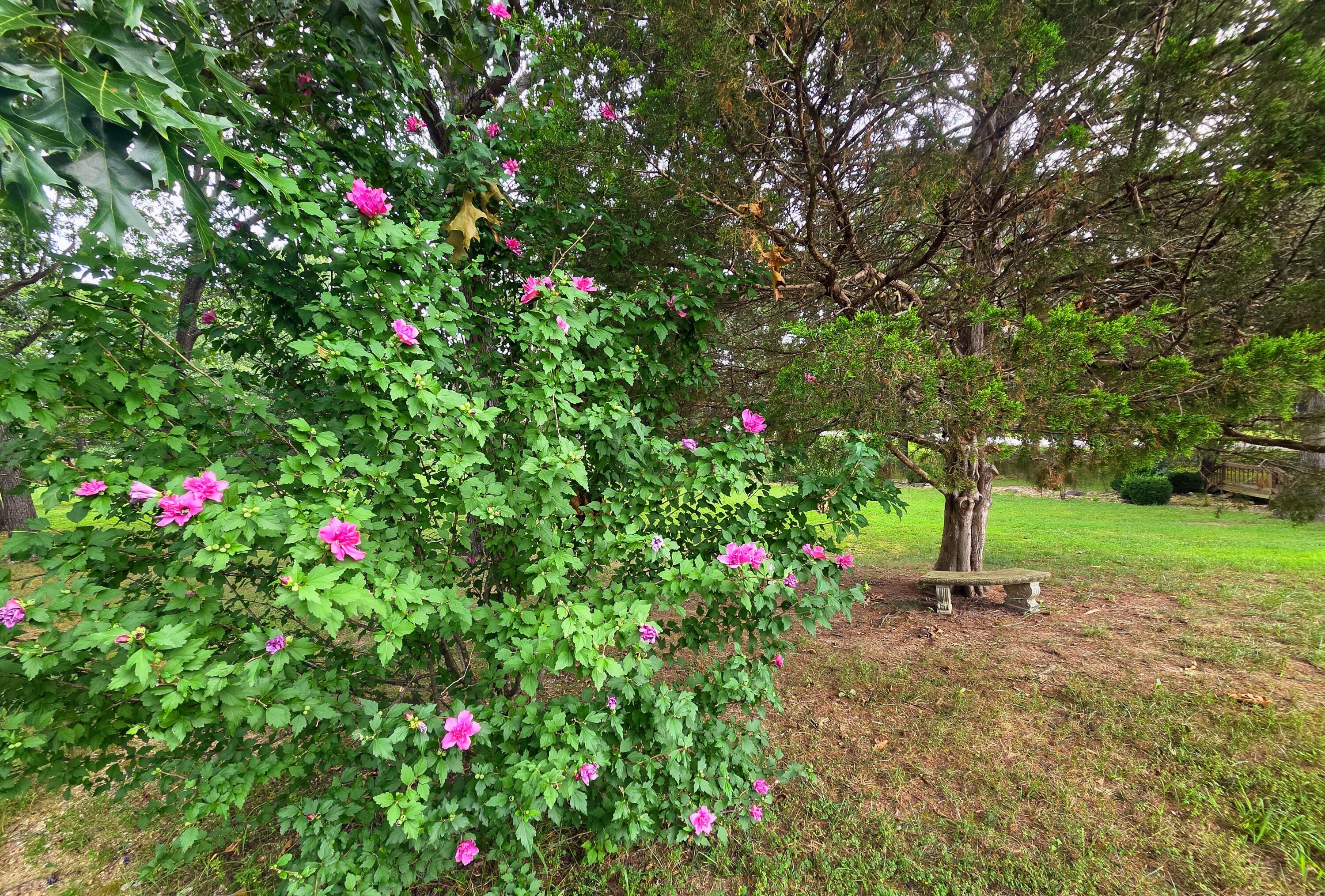 405 Covey Drive Property Photo 38