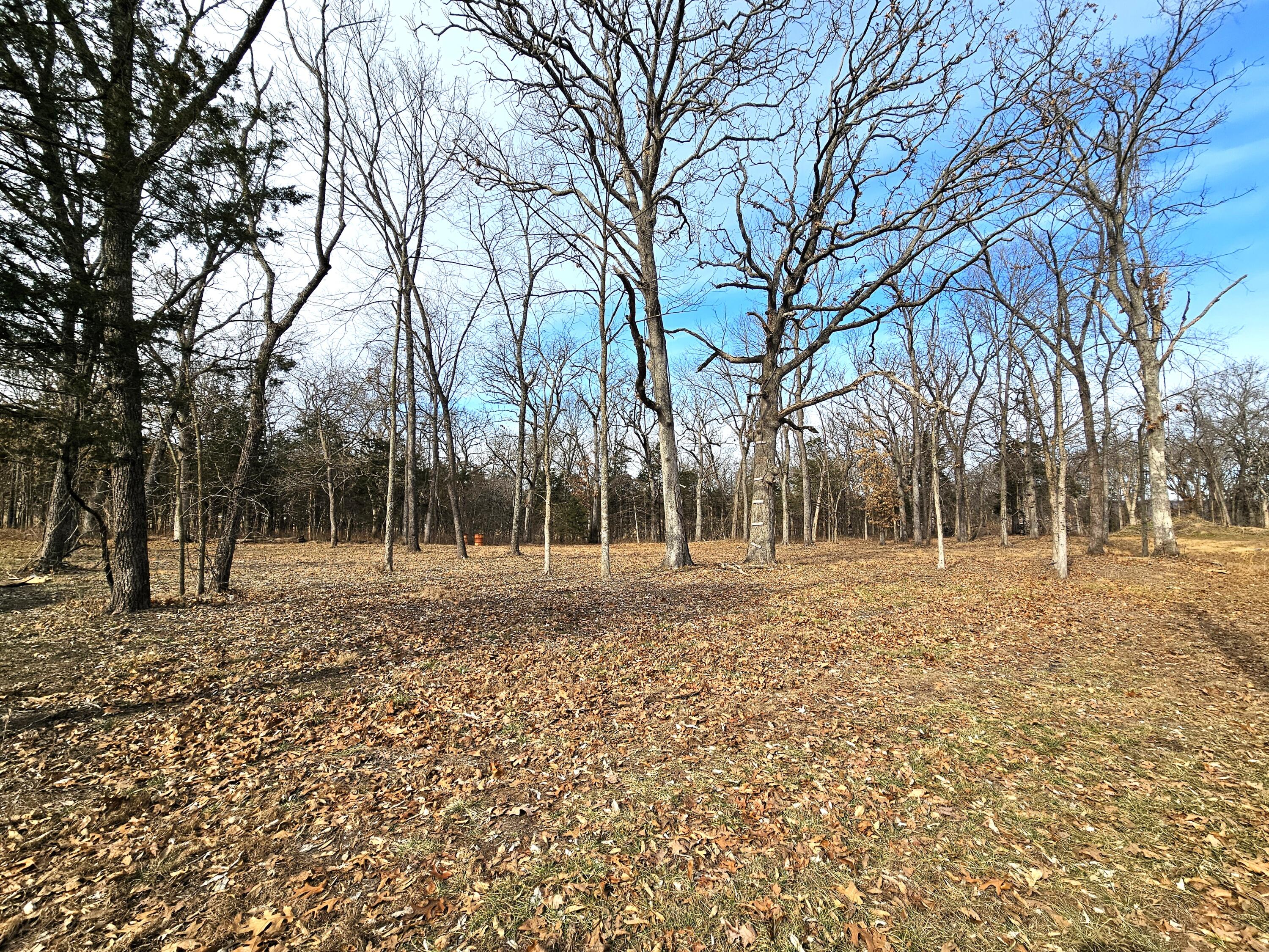 20519 State Highway H Property Photo 19