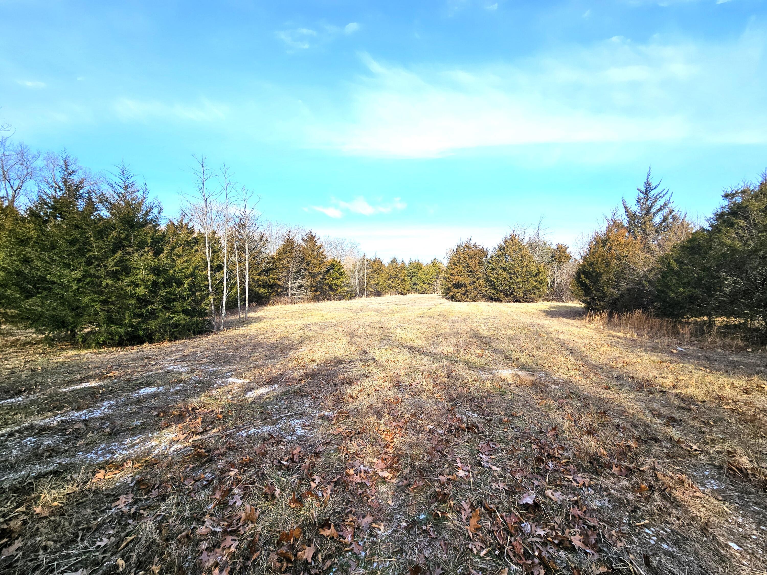 20519 State Highway H Property Photo 21